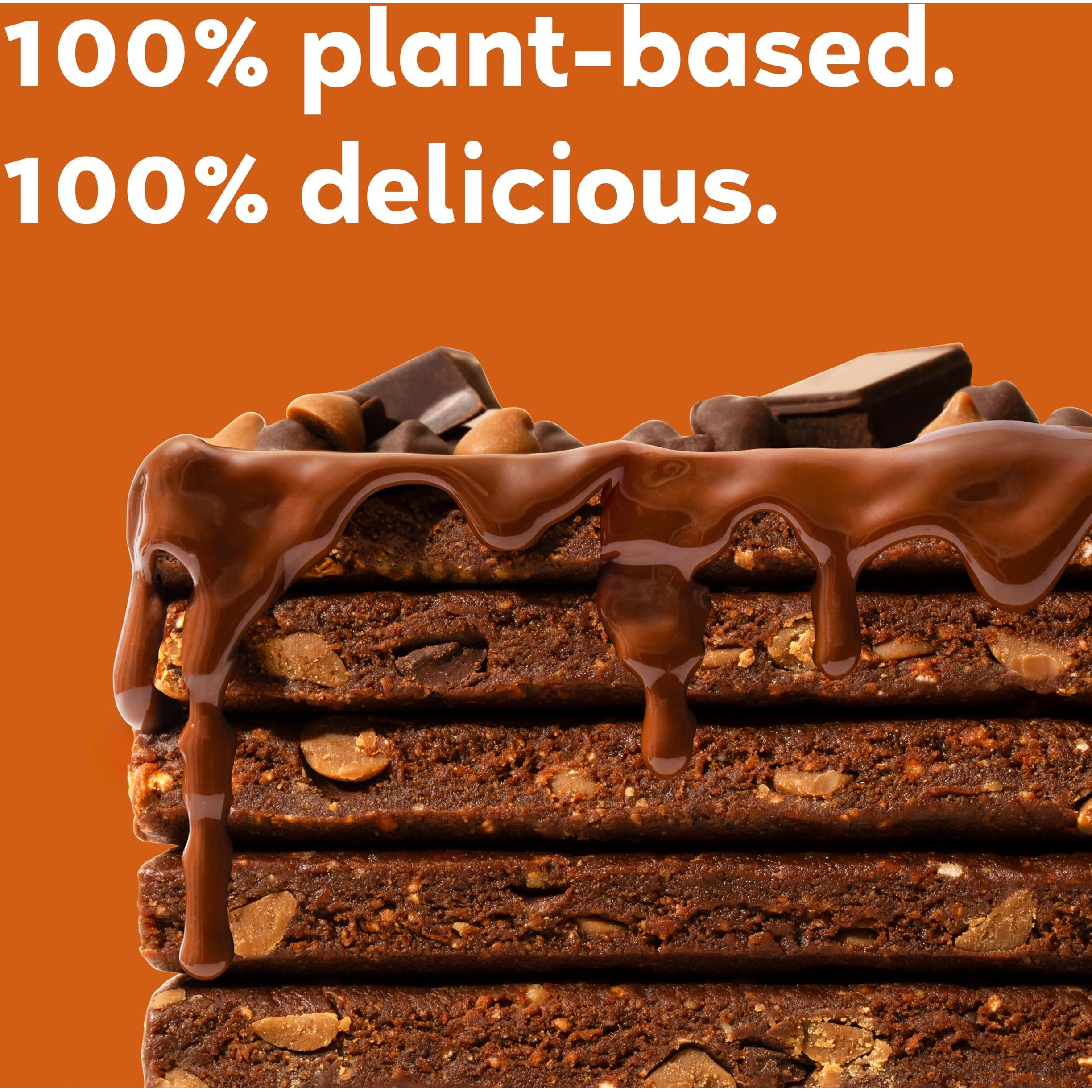 Gomacro Macrobar Mini Organic Vegan Snack Bars - Double Chocolate + Peanut Butter Chips (0.9 Ounce Bars, 24 Count)
