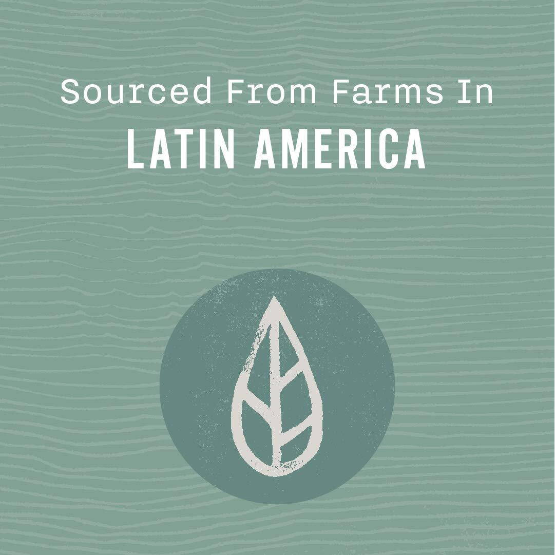 Allegro Coffee Rainforest Blend Ground Coffee, Caramel , 12 Oz