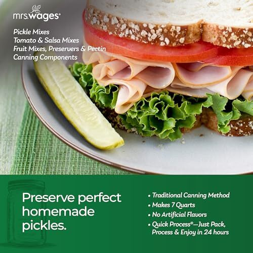 Mrs. Wages Medium Spicy Pickles Quick Process Mix, Quick And Easy, Simple-To-Use, Flavorful Spice, Easy Way To Make Pickles| Great Snack, 6.5 Oz Packet (Value Pack Of 12)