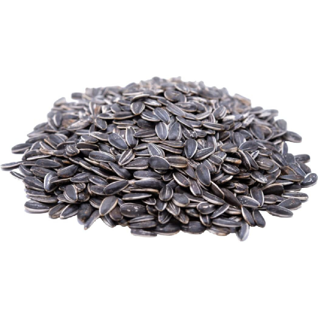 Gerbs Raw Whole Sunflower Seeds 4 Lbs. Resealable Bag | Top 14 Allergy Free | Healthy Superfood Snack | Crack Shell Eat Kernel | Grown In Usa