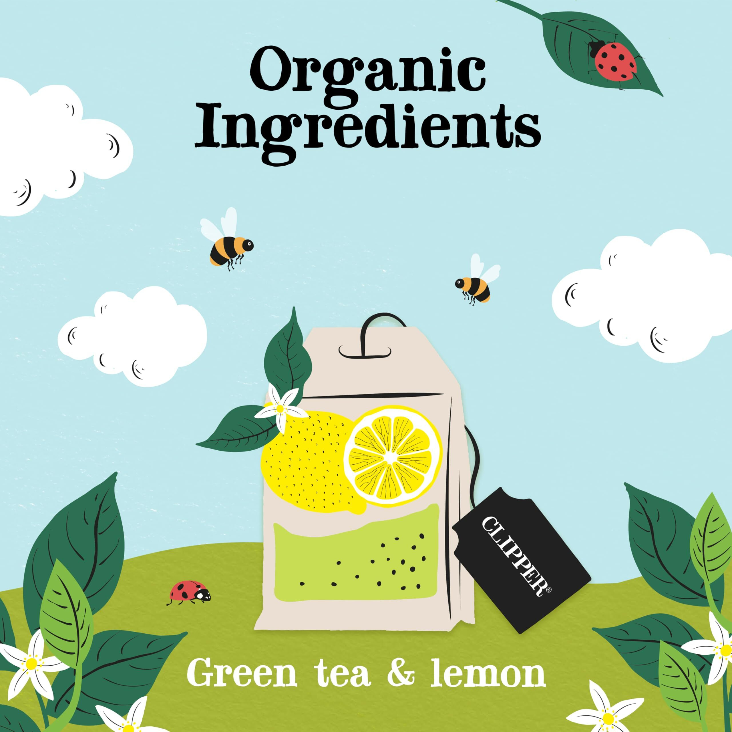 Clipper Tea Green Tea & Lemon Teabags - Usda Organic, Great Hot Or Iced - Bright, Zippy, Natural, Fair & Delicious - 50 Tea Bags