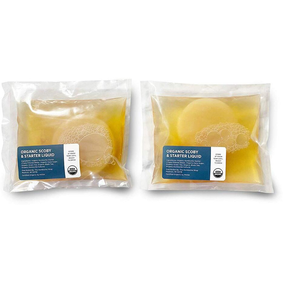 Organic Scoby 2-Pack | Kombucha Starter Kit With Live Culture For Brewing Kombucha Tea - Urban Kitchen