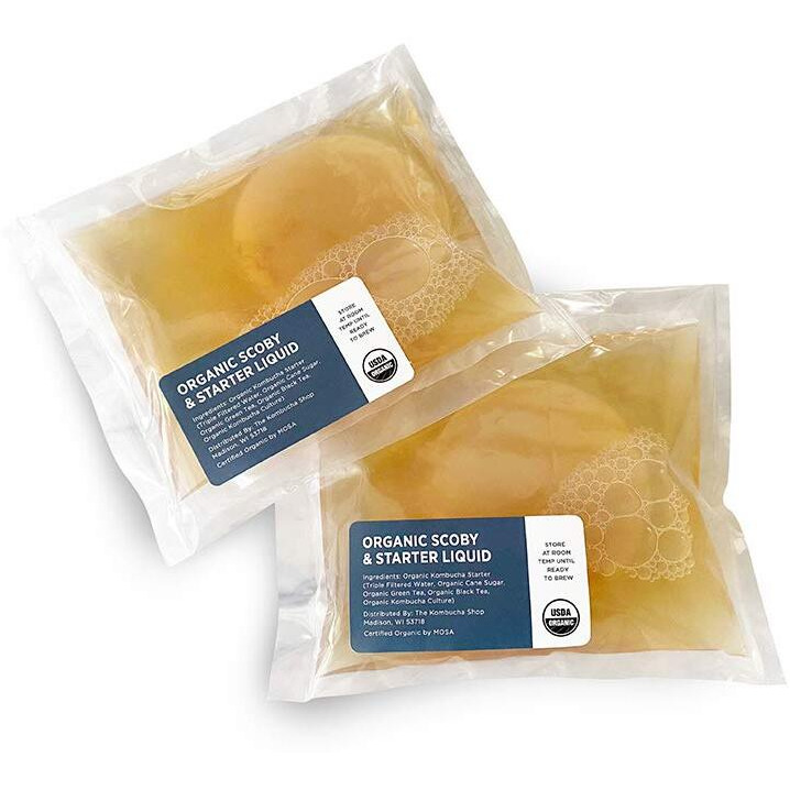 Organic Scoby 2-Pack | Kombucha Starter Kit With Live Culture For Brewing Kombucha Tea - Urban Kitchen