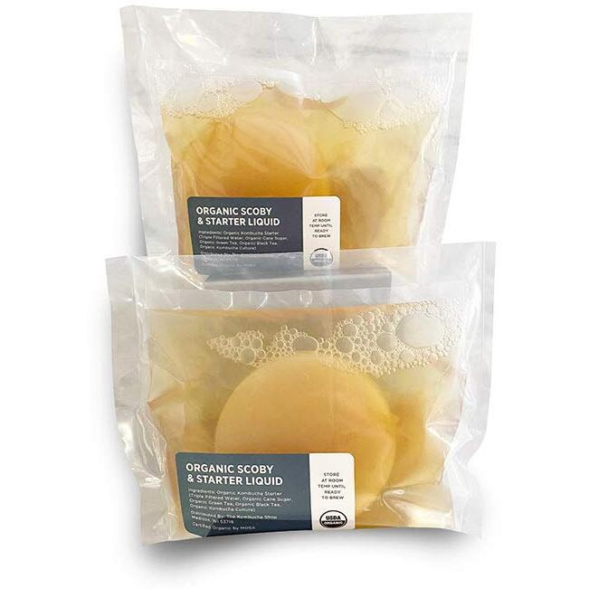 Organic Scoby 2-Pack | Kombucha Starter Kit With Live Culture For Brewing Kombucha Tea - Urban Kitchen