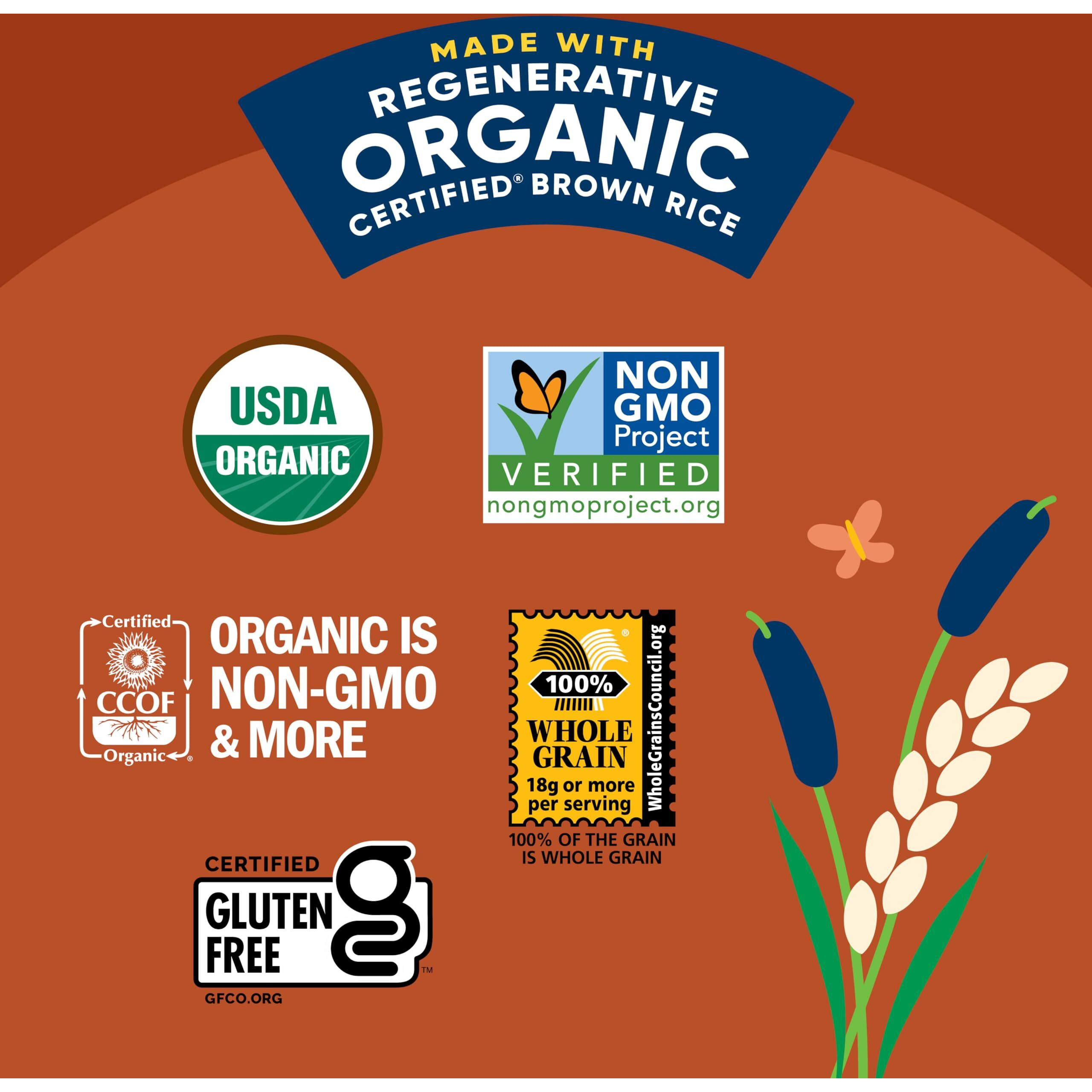 Lundberg Rice Cakes - Organic Whole Grain Cinnamon Toast Rice Cakes, Salt-Free, Healthy Snacks For Adults And Kids, Gluten-Free Snacks, Organic Snacks, Vegan, 9.5 Oz (Pack Of 6)