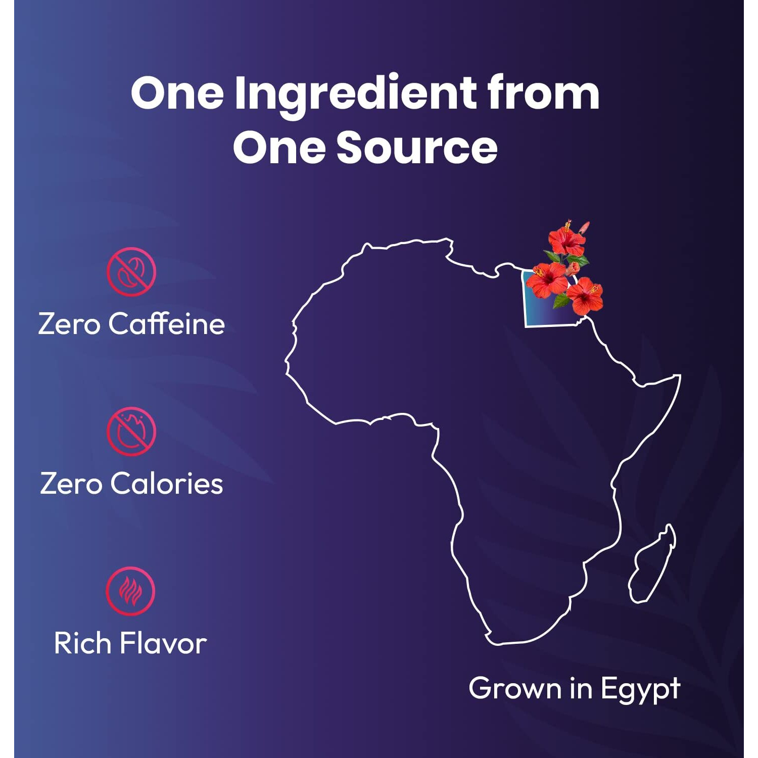 Organic Hibiscus Tea -100 Tea Bags | Organic Herbal Tea From Single Origin | Eco-Friendly Tea Bags | Non-Gmo Caffeine Free Tea With Zero Sugar | Cederberg Tea Company