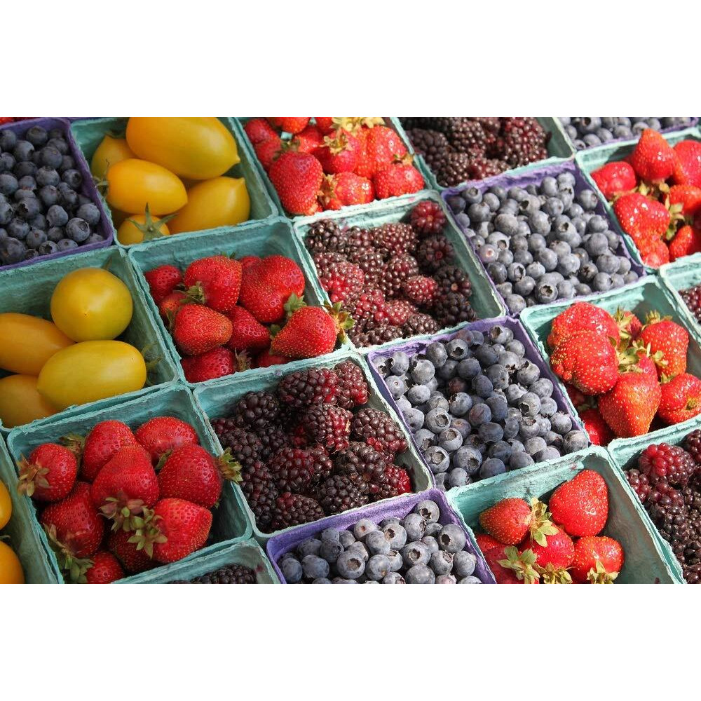 Mcp+Premium+Fruit+Pectin%2C+2-Ounce+Boxes+(Pack+Of+6)