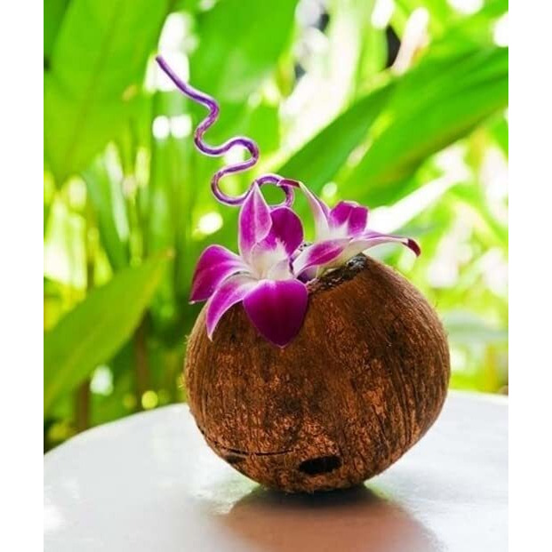 Miami Fresh Orchid Flower Orchidclub Usa Sunne Tropical Loose Bloom Head Diy Lei Food Drink Decoration (2X50 Purple)