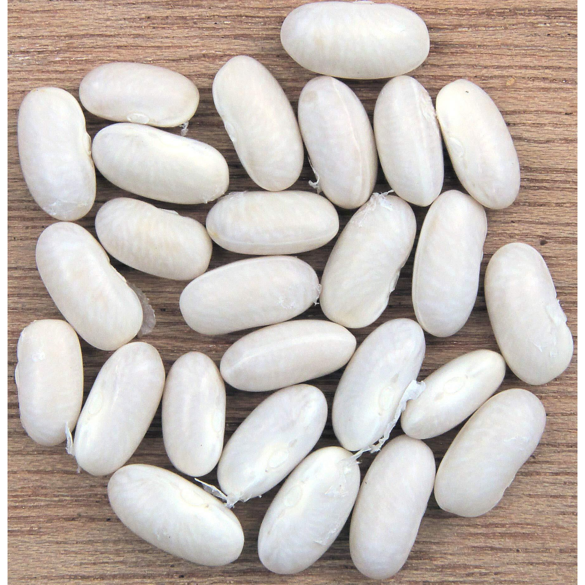 Organic Cannellini Beans - 2Lbs (Hunza)