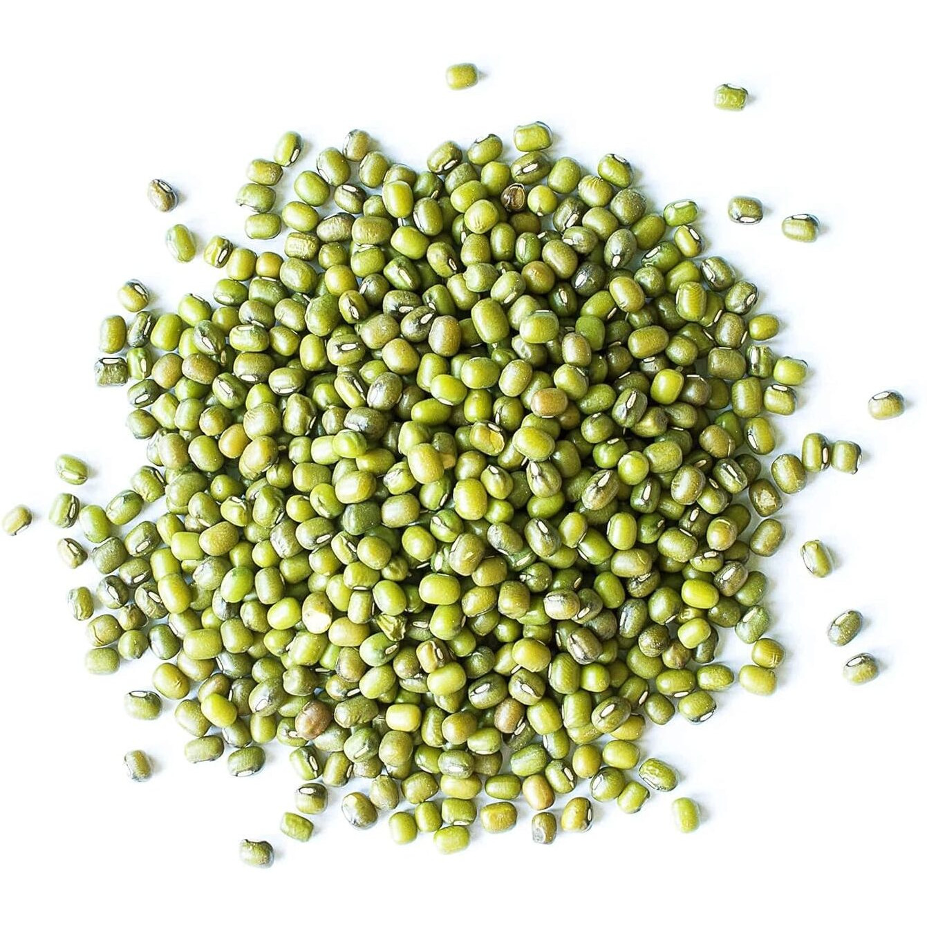 Food To Live Organic Mung Beans, 25 Pounds - Non-Gmo, Whole Dried Beans, Green Gram, Sproutable, Kosher, Vegan, Sirtfood, Bulk. Good Source Of Fiber, Protein, Folate. Goes Well With Asian, Middle East Dishes.