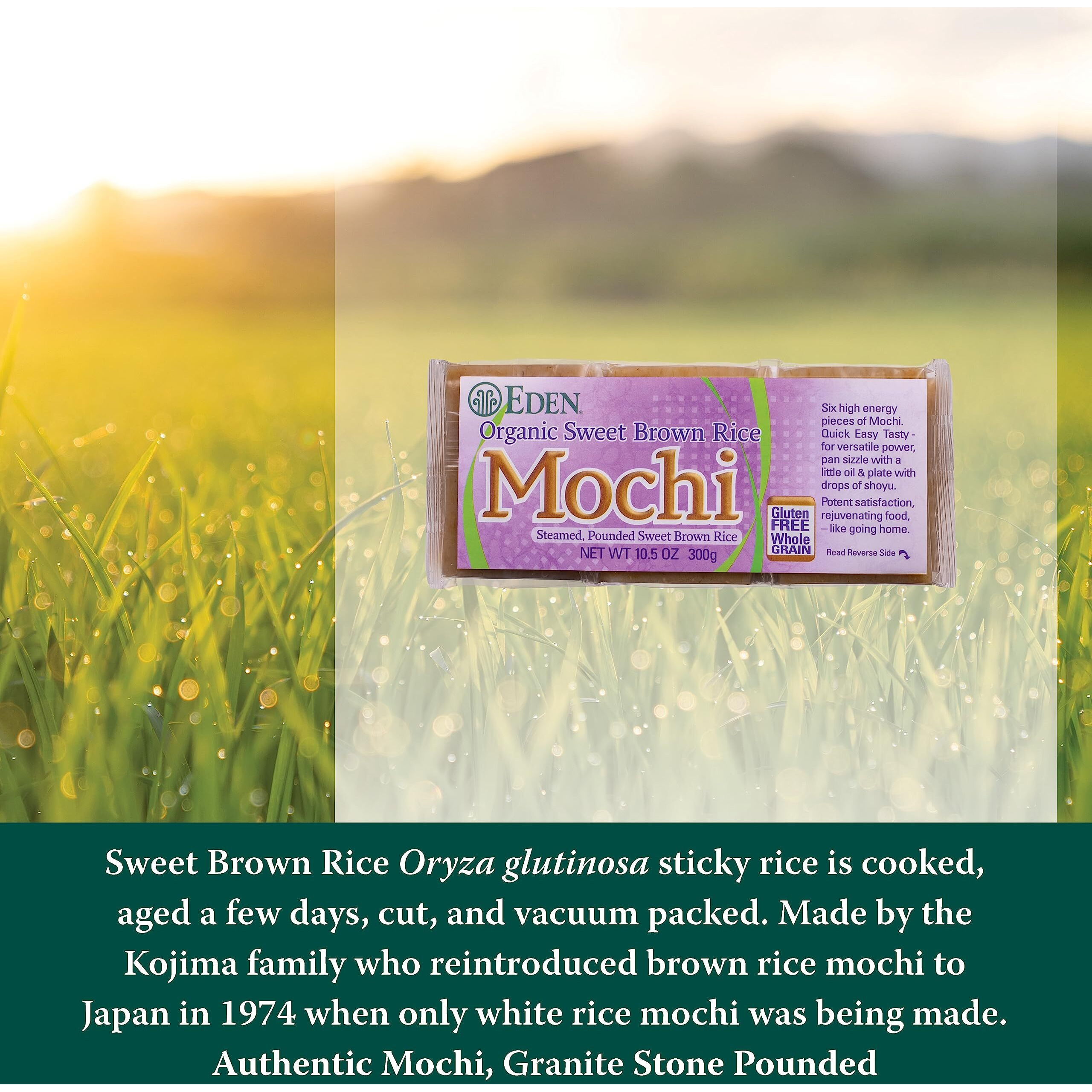 Eden Organic Sweet Brown Rice Mochi, Whole Grain, Traditionally Made In Japan, 10.5 Oz