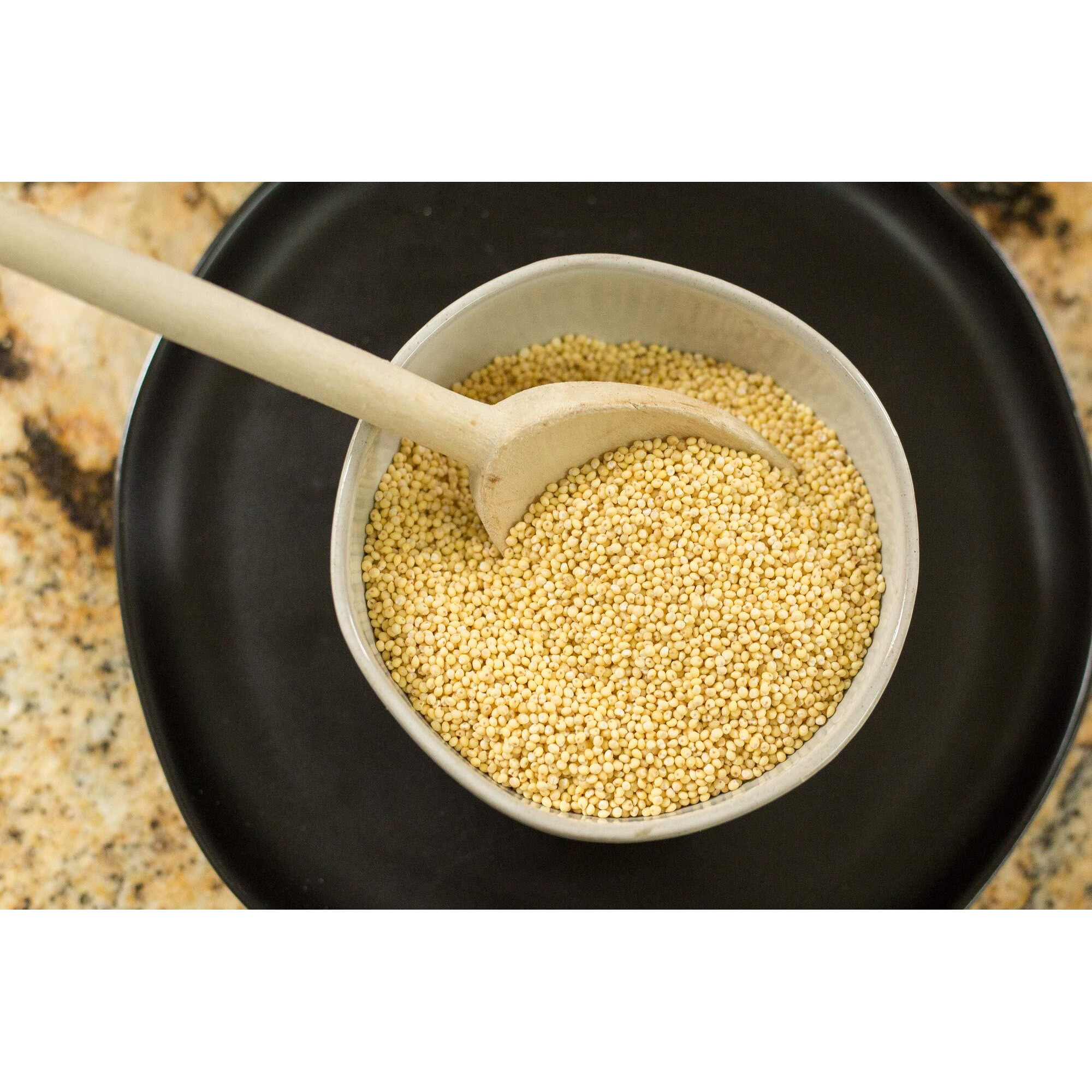 Whole Organic Hulled Millet Seed - 5Lb Millet Organic Whole Grain Seed- Gluten-Free Organic Millet Grain For Porridge, Salads, Fruits - Non-Gmo Millet Packed W/Proteins, Fiber, & More
