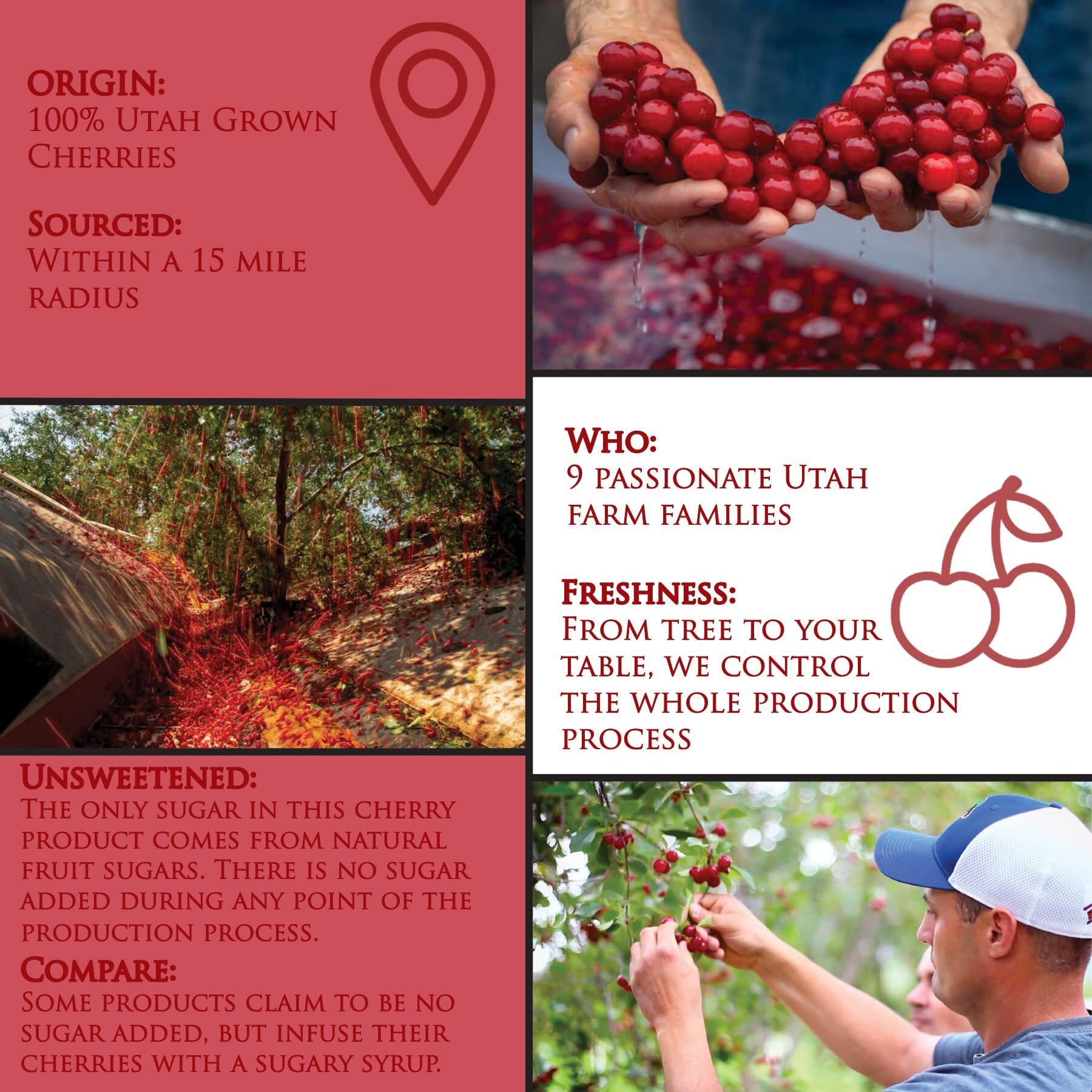 Country Spoon 100% Tart Cherry Juice (70+ Tart Cherries Per 8 Oz) 12 Pack | Not From Concentrate, Single Ingredient Drink, Melatonin Rich, Healthy Fruit Drink (Cherry)