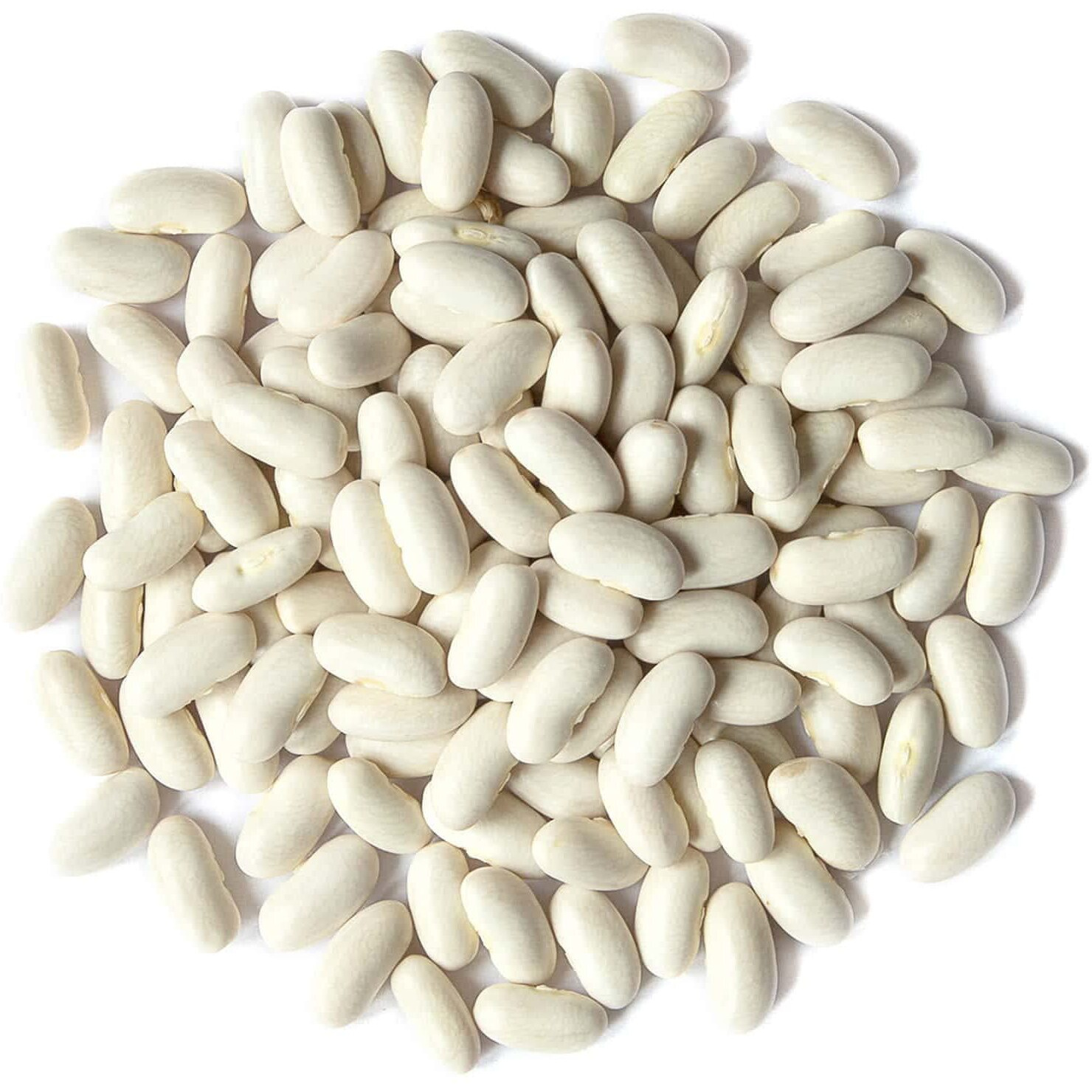 Food To Live - Cannellini Beans, 5 Pounds Dried White Kidney Beans, Sproutable, Vegan, Kosher, Sirtfood, Bulk. Rich In Fiber, Protein. Great For Minestrone Soup, Bean Salad, Stews, White Chili.