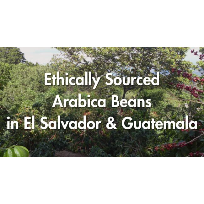 Caf   Grumpy Coffee Momentum Blend Whole Arabica Beans, 12Oz Bag, Medium Roast, Drip, French Press, Pour Over, Cold Brew (Whole Beans)