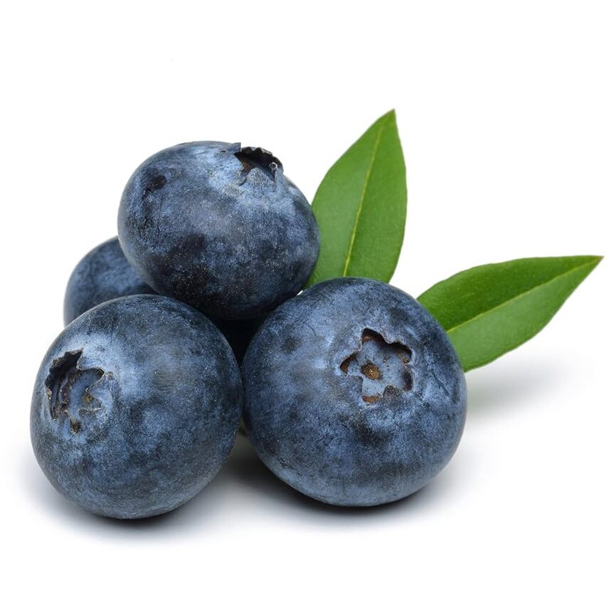 Olivenation Blackberry Extract 4 Oz.