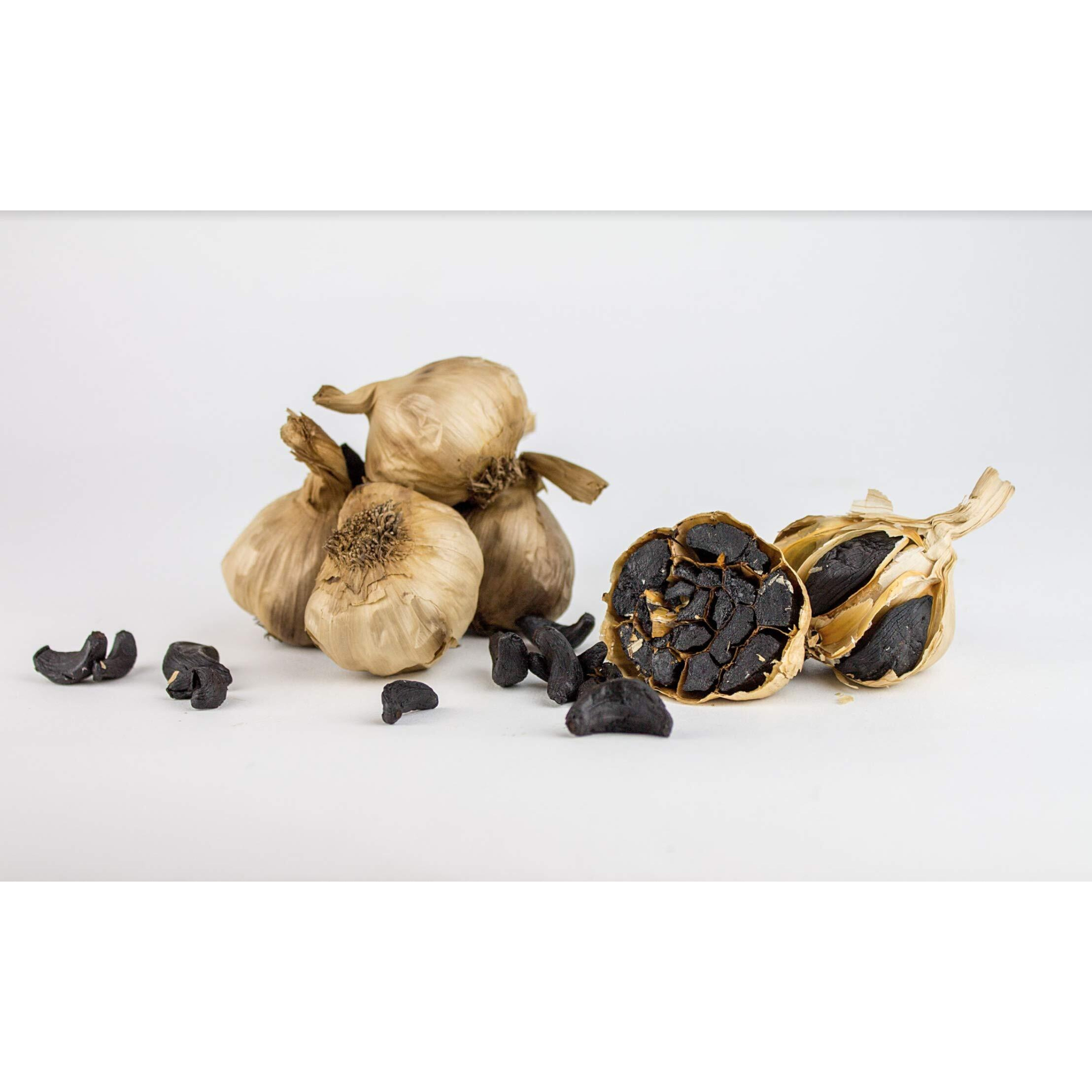 Peeled Black Garlic (1 Lbs) Kosher Certified
