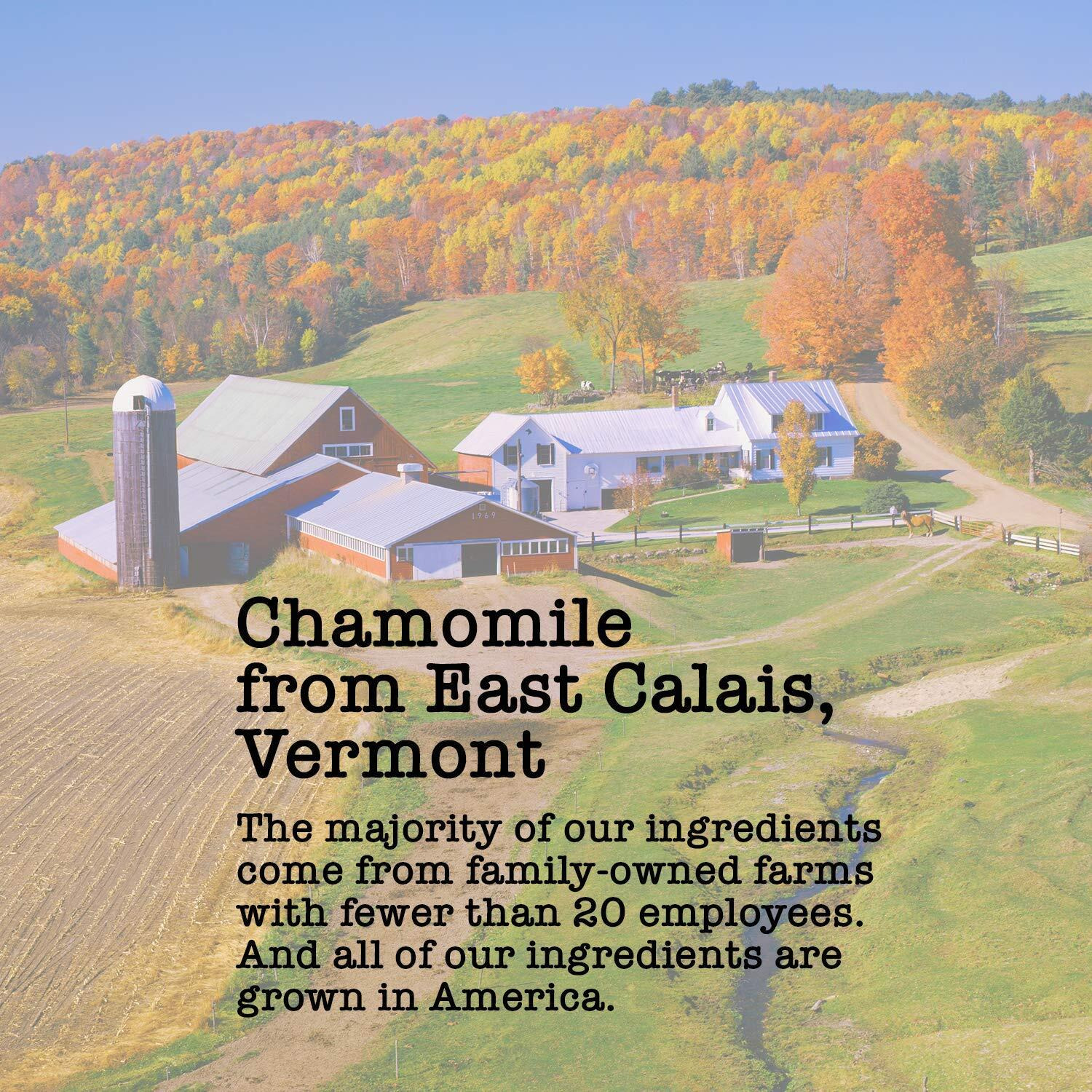 Sleepynight Tea Extra Strength, 45-60 Servings, Eco-Conscious Zip Pouch, Caffeine Free, Pure Loose Leaf Tea Grown In America, 5 Ounce (Medium)