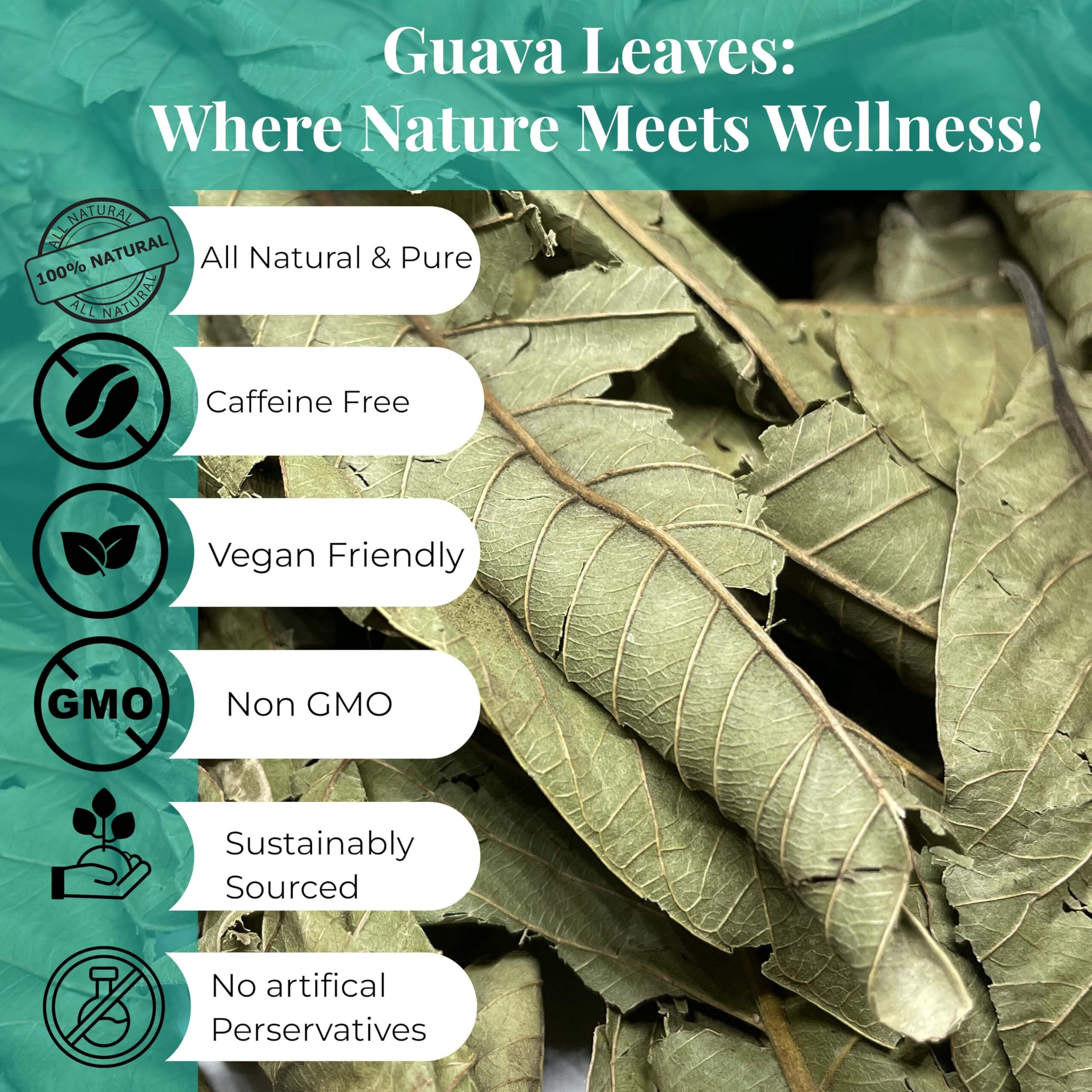 Akshit Dried Guava Leaves, 2.6Oz, Hojas De Guayaba Secas, Dried From Fresh Guava Leaves, 2.6Oz, Guava Loose Leaf Tea, No Additives, Non Gmo, Vegan.