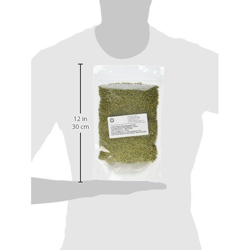 Organic Sprouting Seeds Mung Bean 1 Pound The Sprout House