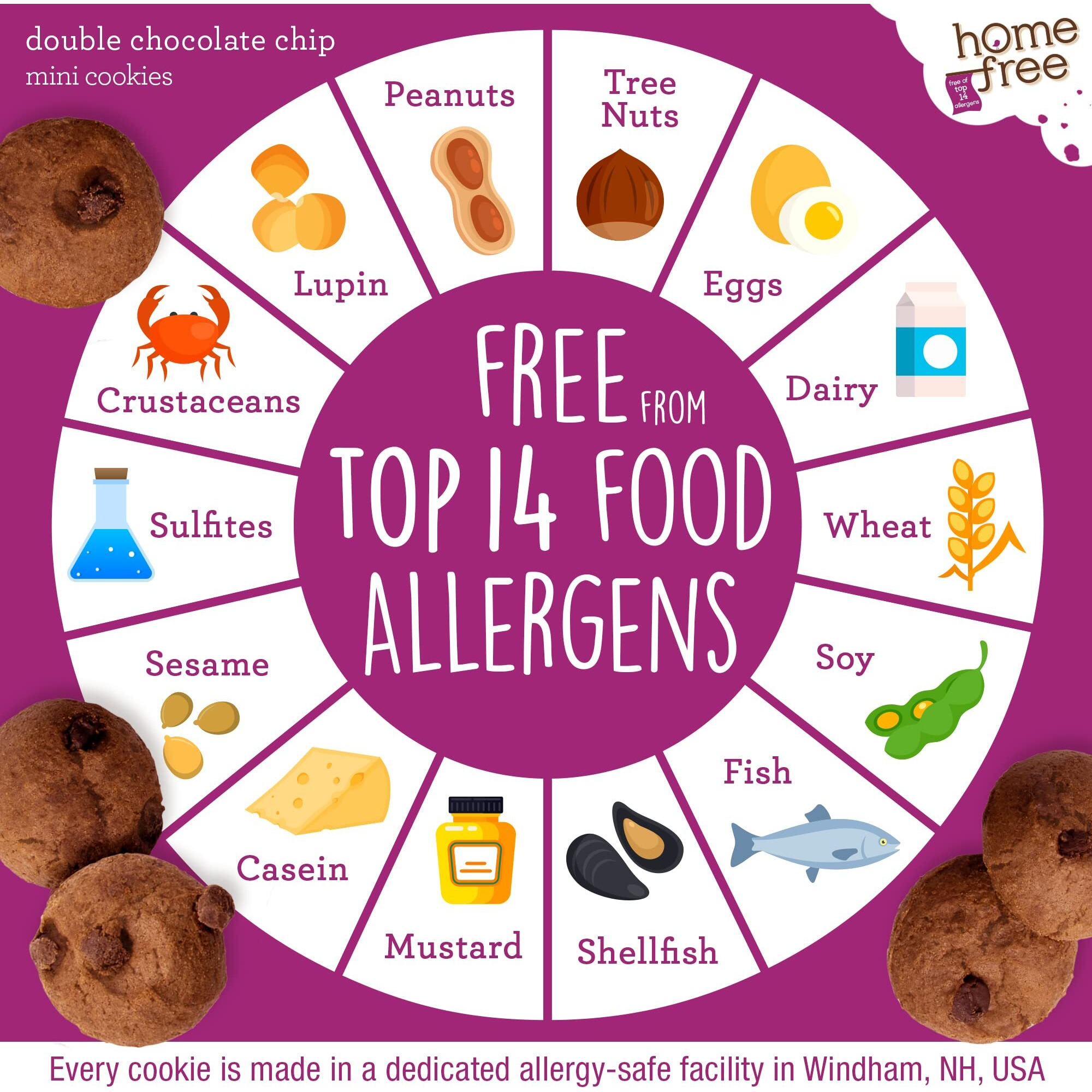 Homefree Mini Double Chocolate Chip Cookie Box, Gluten Free, Nut Free, Vegan, School Safe And Allergy Friendly Snack, 5 Oz. Box (Pack Of 6)