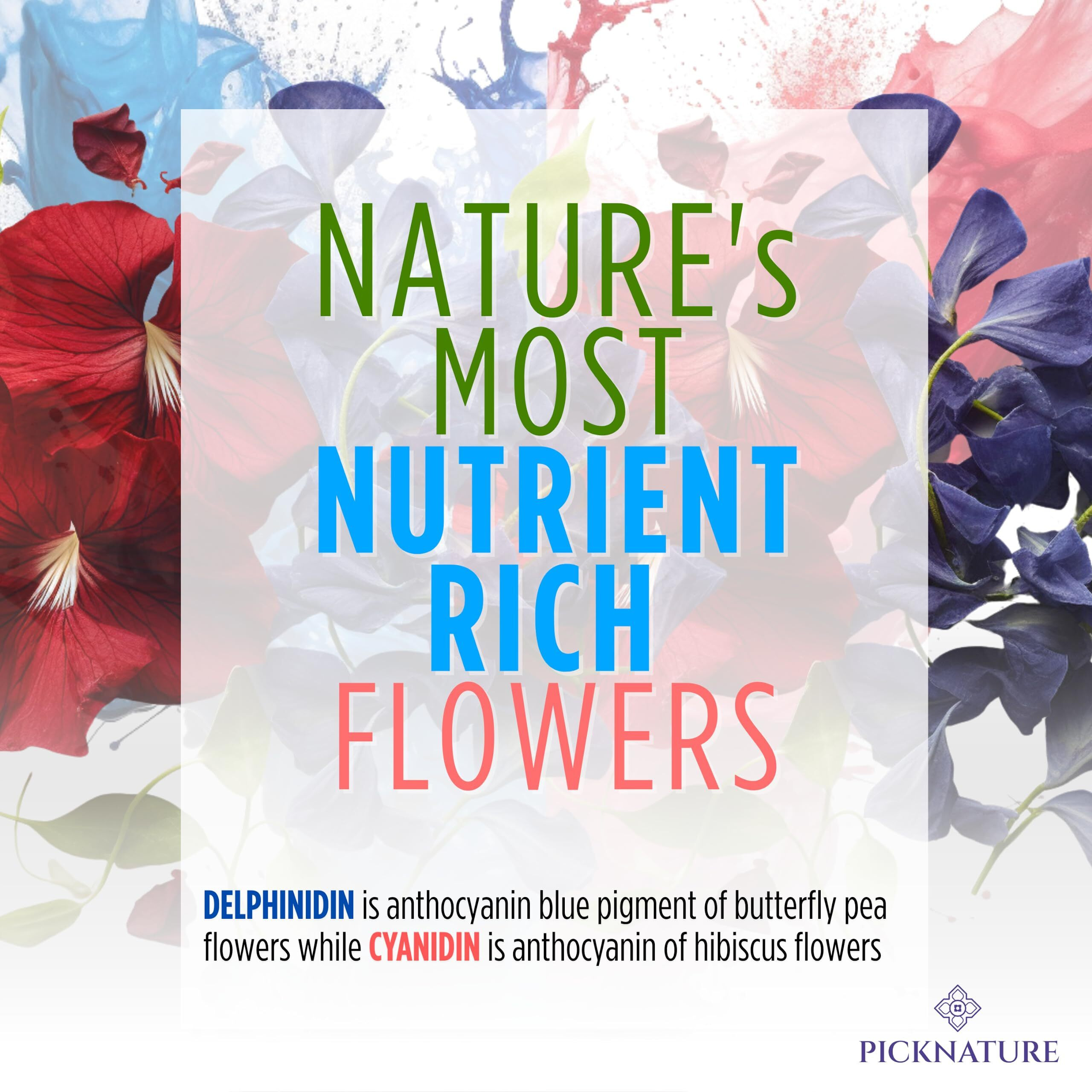 Picknature Purple Hibiscus Tea And Butterfly Pea Flower Tea Bag Leaf Freshly Picked From Thailand | 30 Tea Bags (100+ Cups) | Herbal Tea Gifts | Usda Organic