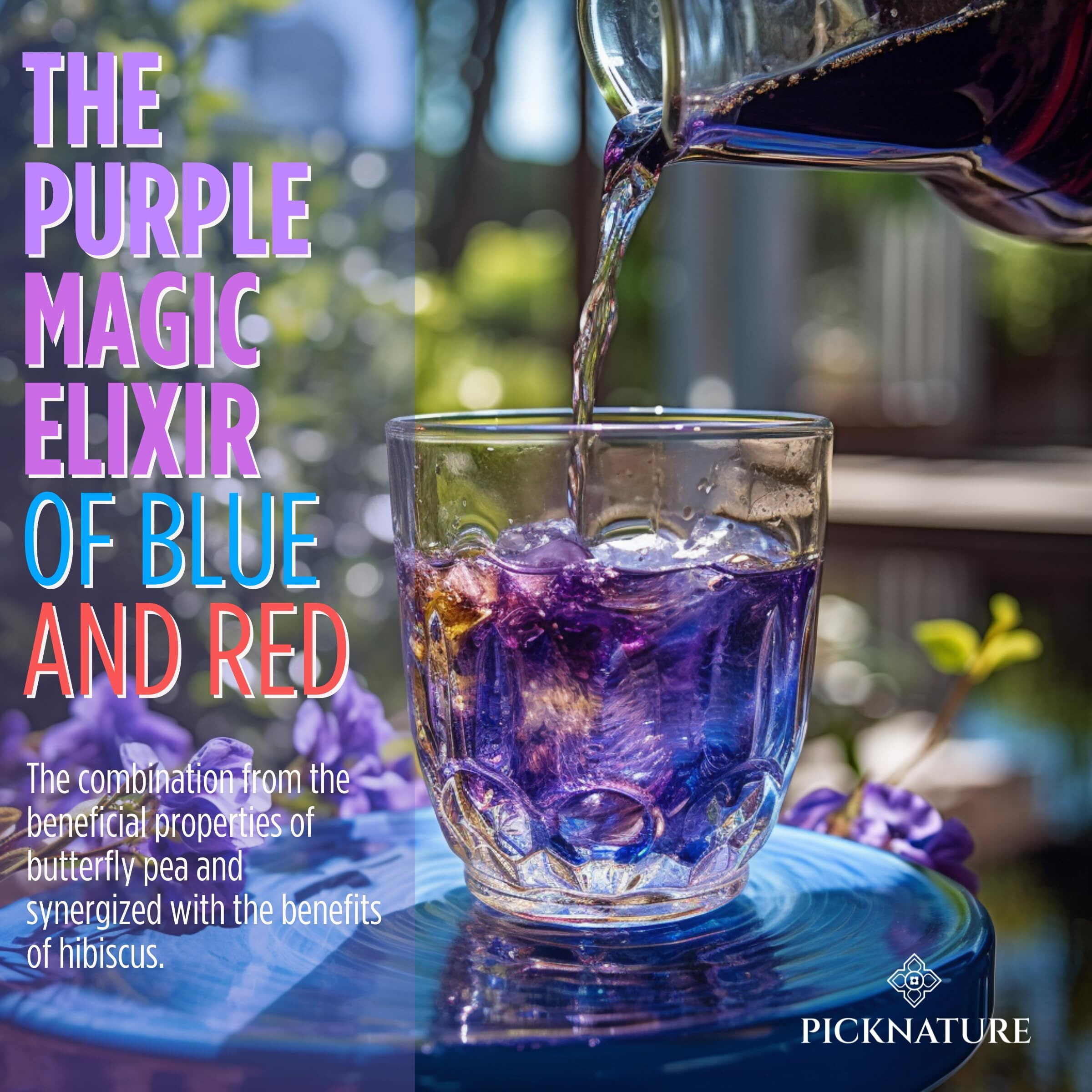 Picknature Purple Hibiscus Tea And Butterfly Pea Flower Tea Bag Leaf Freshly Picked From Thailand | 30 Tea Bags (100+ Cups) | Herbal Tea Gifts | Usda Organic