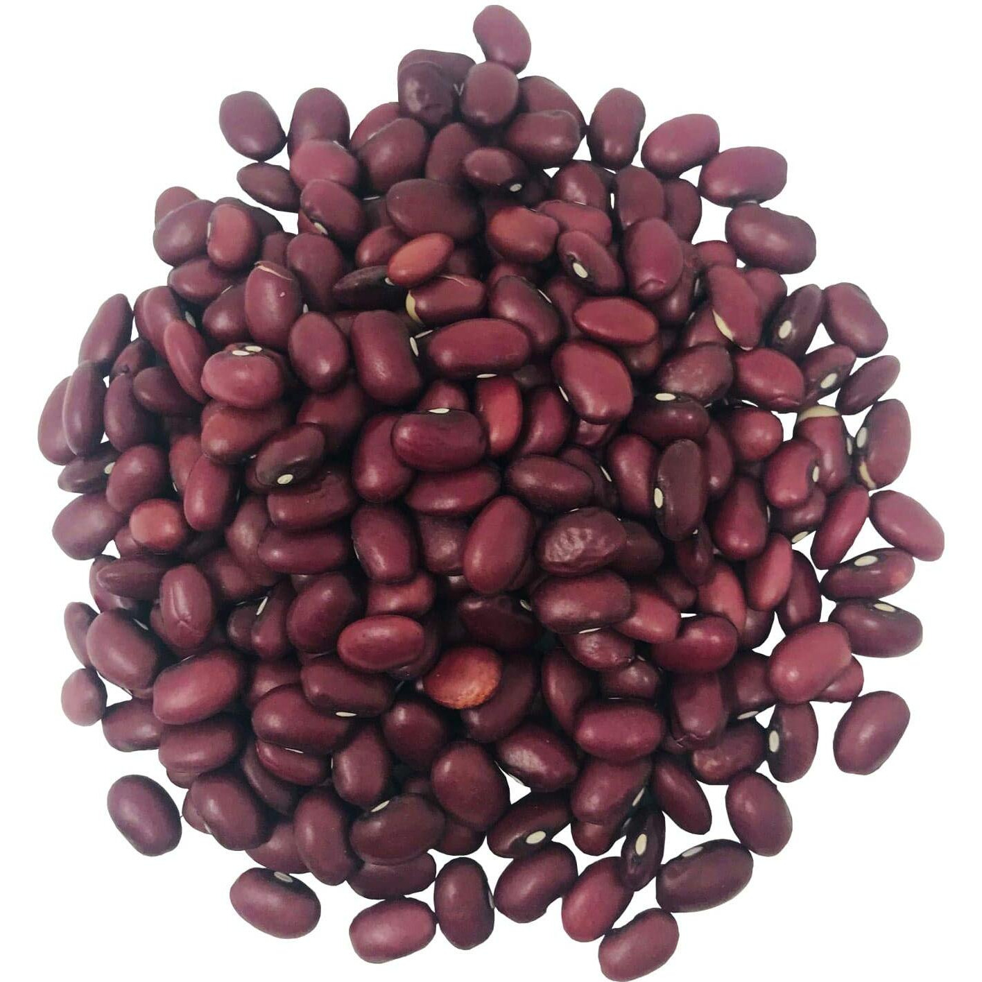 Food To Live Organic Small Red Chili Beans, 3 Pounds - Non-Gmo, Kosher, Vegan, Dry, Raw, Sproutable, Non-Irradiated, Bulk, Product Of The Usa