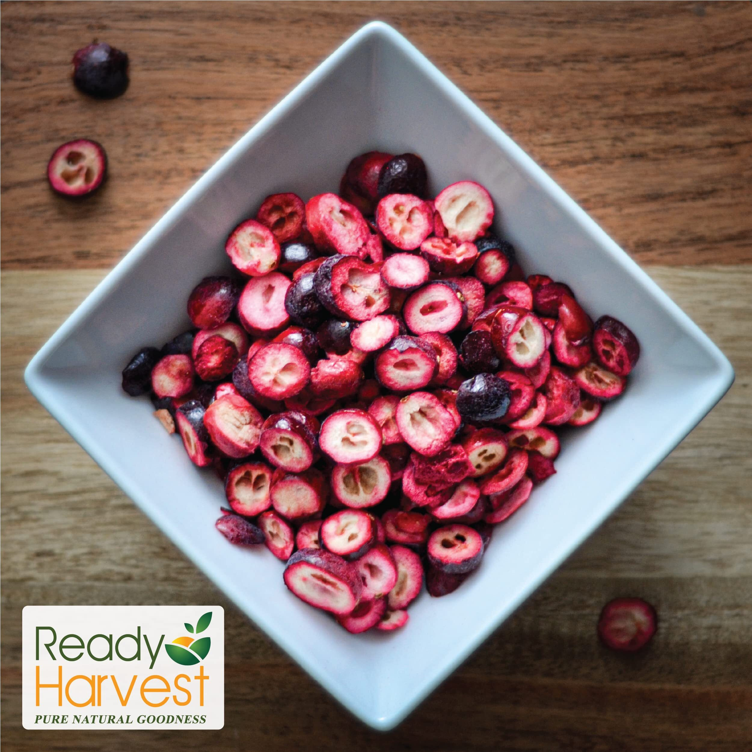 Ready Harvest Cranberries Dried Fruit Freeze-Dried Fruit, Unsweetened, Freeze-Dried Food Pantry Staples Survival Food, Bug Out Bag Backpack, Camping Essentials, 10 Can | 25-Year Shelf Life 170G