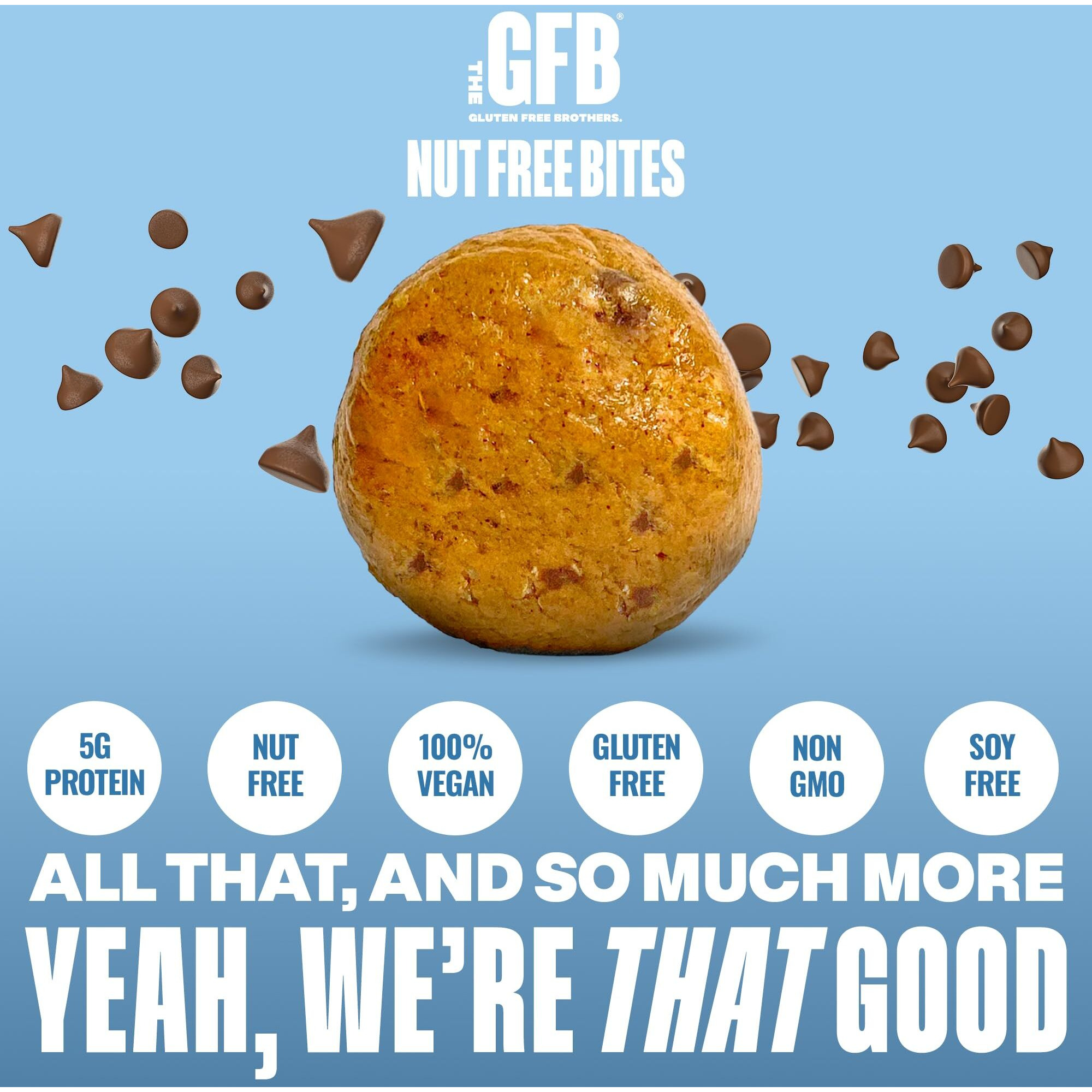 The Gluten Free Brothers Chocolate Chip Cookie Dough Nut Free Bites - Allergen Friendly, Gluten Free, Soy Free Protein Balls - Plant Based Vegan Non-Gmo Snack Size Protein Energy Balls, 4 Oz (6 Count)