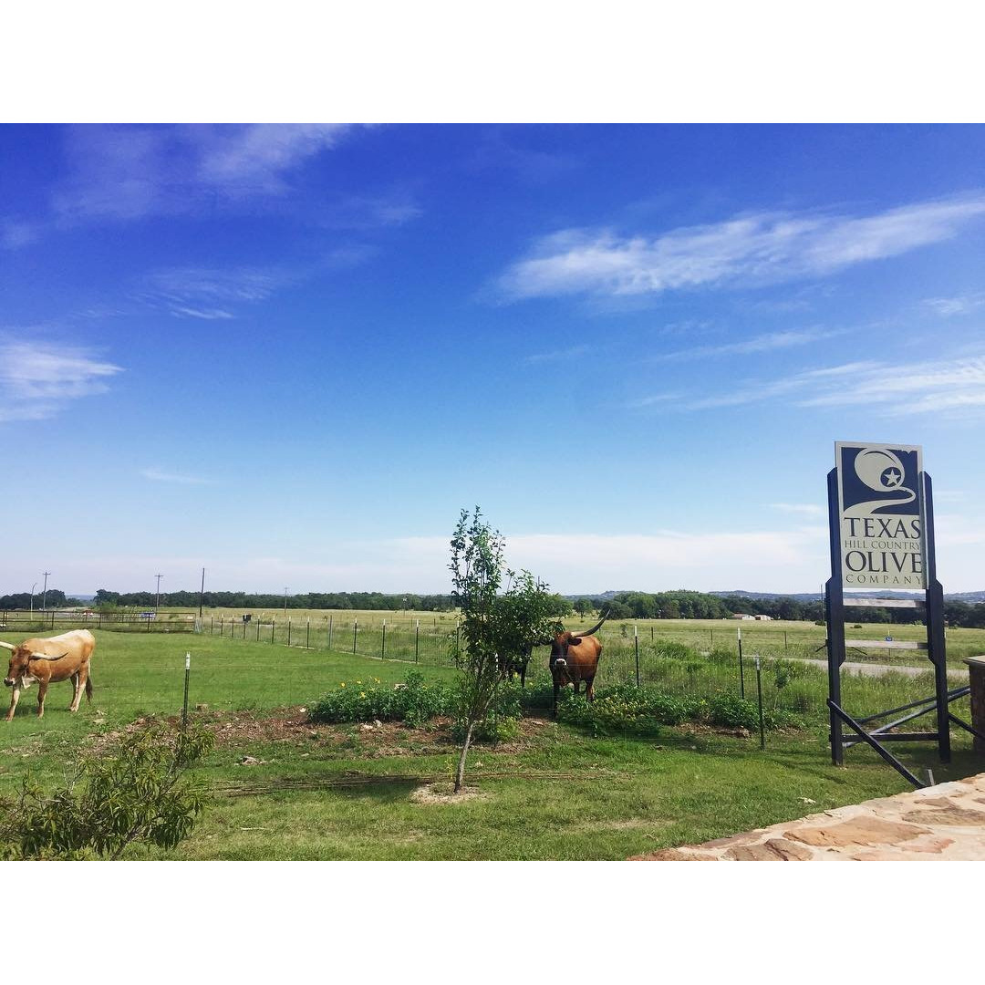 Pineapple Balsamic Vinegar - Gourmet Barrel Aged Infused Balsamic Vinegar - Great For Dressing Dipping Glazing - No Artificial Flavors Or Added Sugar - Made In Texas (8.5 Oz)