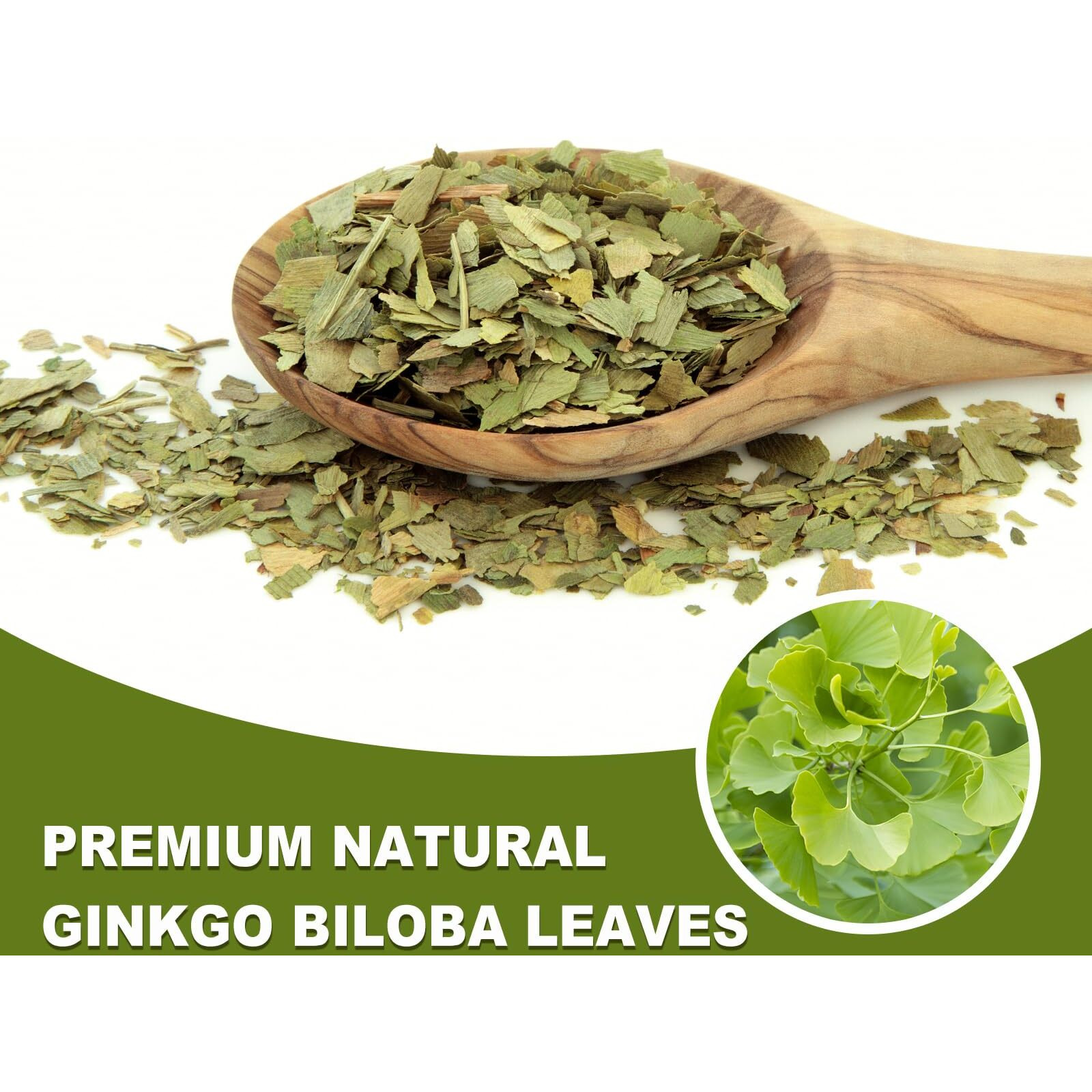 Tearelae - Ginkgo Biloba Tea Bags, 50 Count - 100% Pure Ginkgo Biloba Leaves - Non-Gmo - Naturally Caffeine-Free Herbal Tea - Support Vision Health & Enhance Immunity