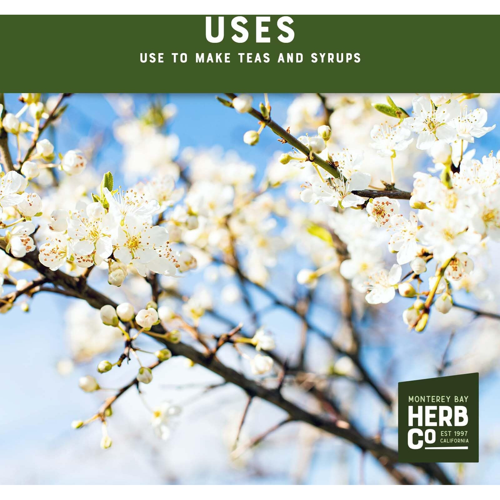 Monterey Bay Herb Co. Wild Cherry Bark | Black Cherry, Mountain Black Cherry, Choke Cherry | Used To Make Teas & Syrups | Cut & Sifted | 1 Lb