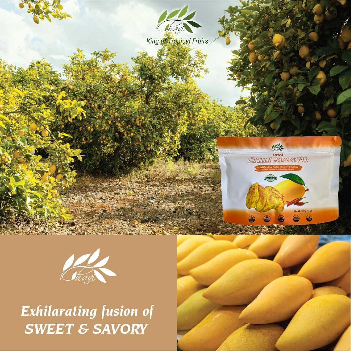 Chavi Dried Chili Mango | 28 Oz | Pack Of 2 X 14 Oz | No Added Sugars | Naturally Sweet | Healthy Sinple Ingredients Superfood - Family Supersnacks | Unsulfured, Vegan, Non-Gmo, Gluten-Free (Pack Of 2)