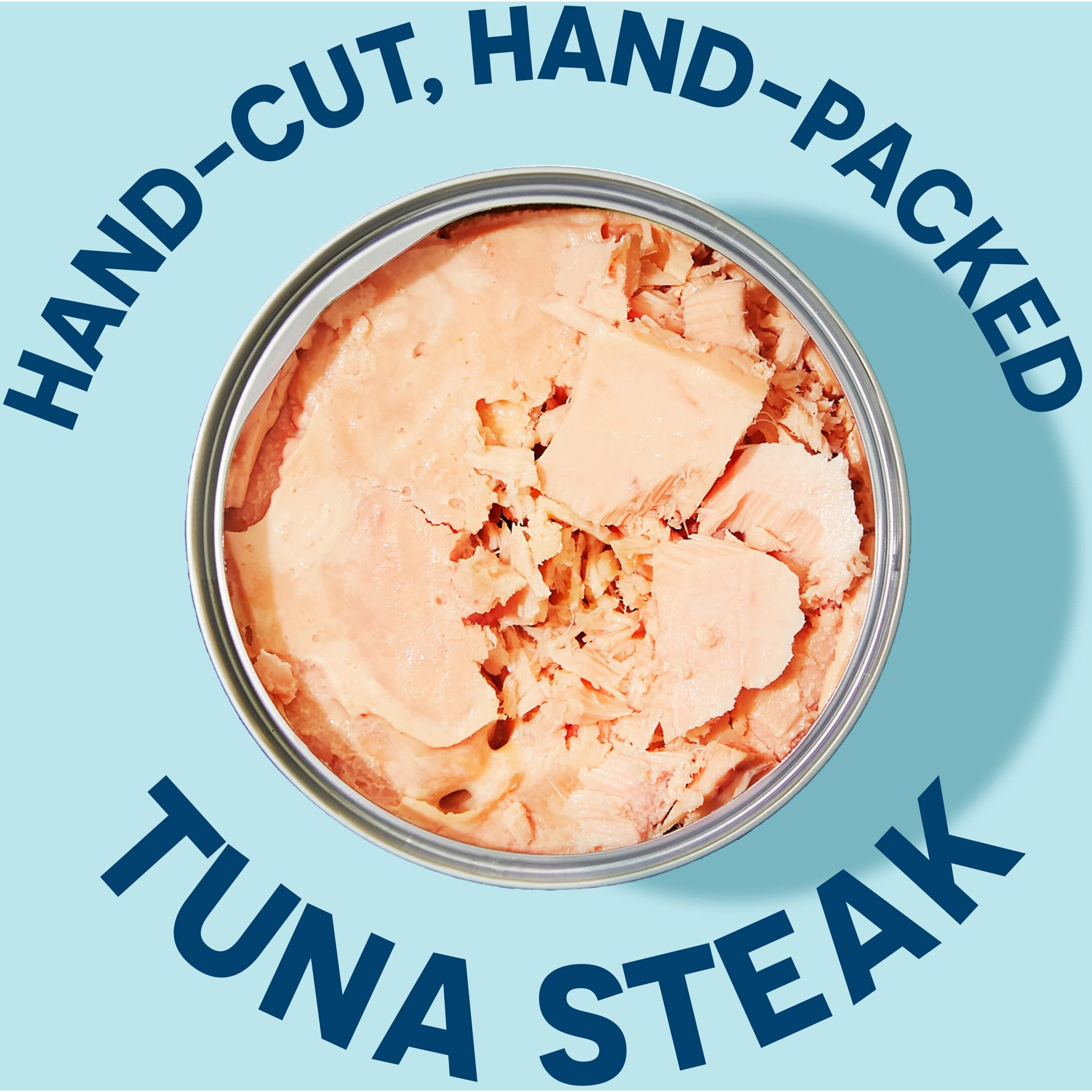 Wild Planet Albacore Wild Tuna, Sea Salt, Canned Tuna, Sustainably Wild-Caught, Pole & Line, Non-Gmo, Kosher, 5 Ounce, Pack Of 12