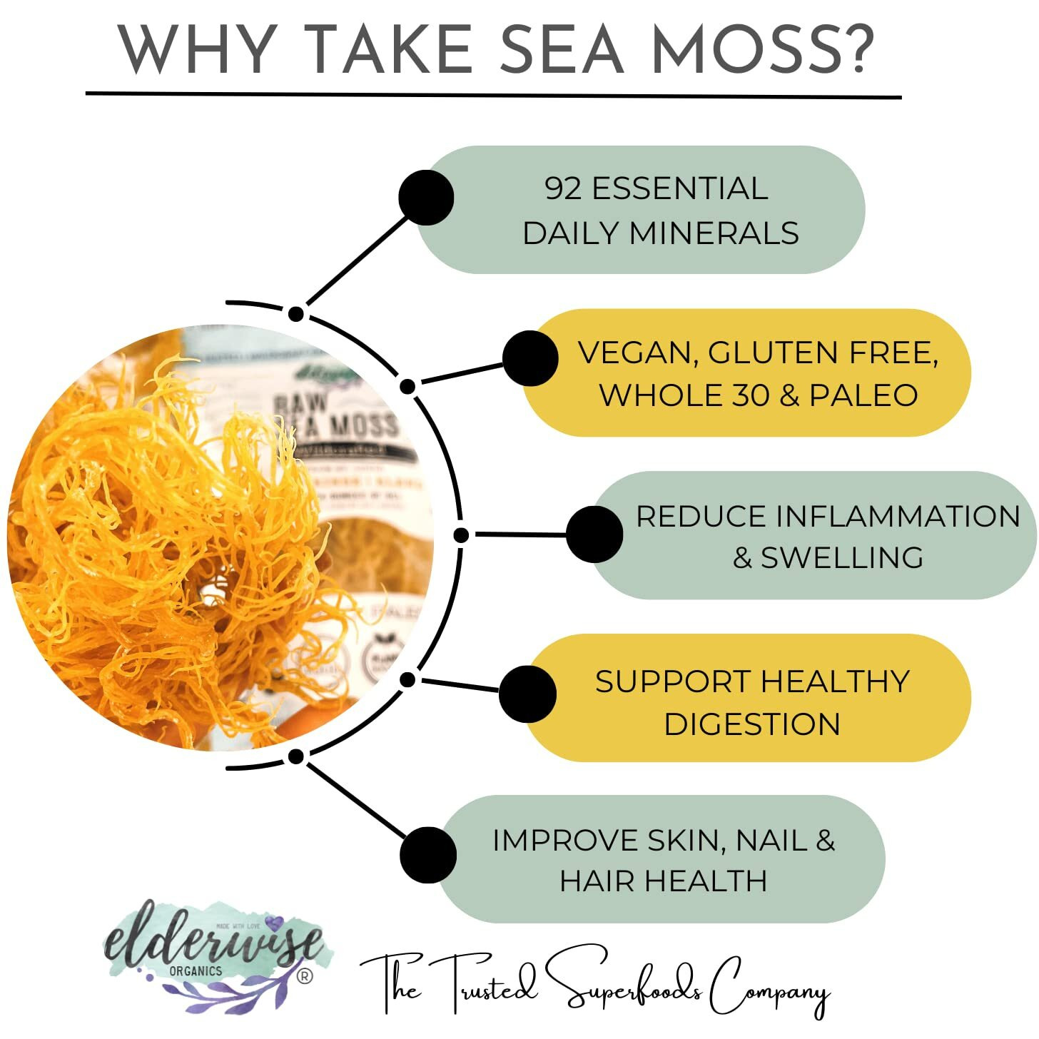 Elderwise Raw Sea Moss | Organic Seamoss Makes 20Oz Of Gel | Wildcrafted Golden Sea Moss | Raw & Non Gmo Certified | Sundried | Mineral And Vitamin Rich | Golden