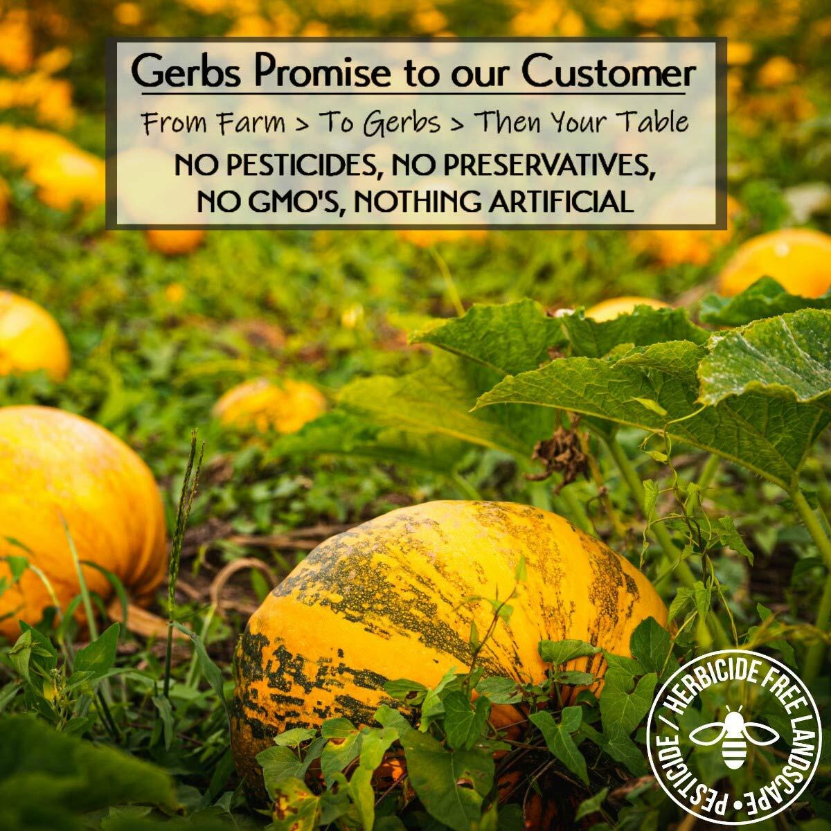 Gerbs Extra Sea Salted Pumpkin Seed Kernels 2 Lbs|Top 14 Allergy Free Food |Use In Salads, Yogurt, Oatmeal, Trail Mix|Grown In Canada, Packed In Us