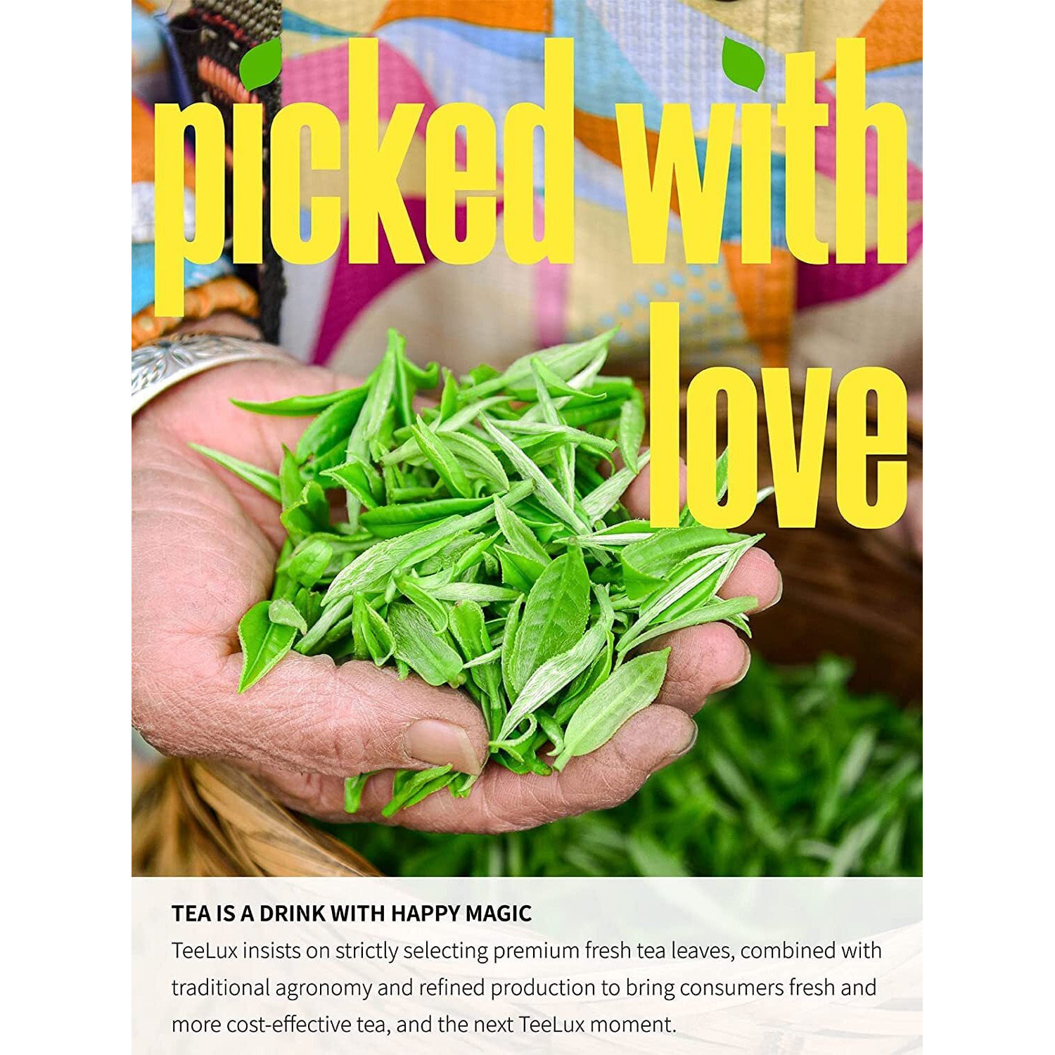 Teelux Jasmine Green Tea Bags, Natural Caffeinated Jasmine Scented Green Tea With Pleasant Aroma, 100 Count Tea Bags