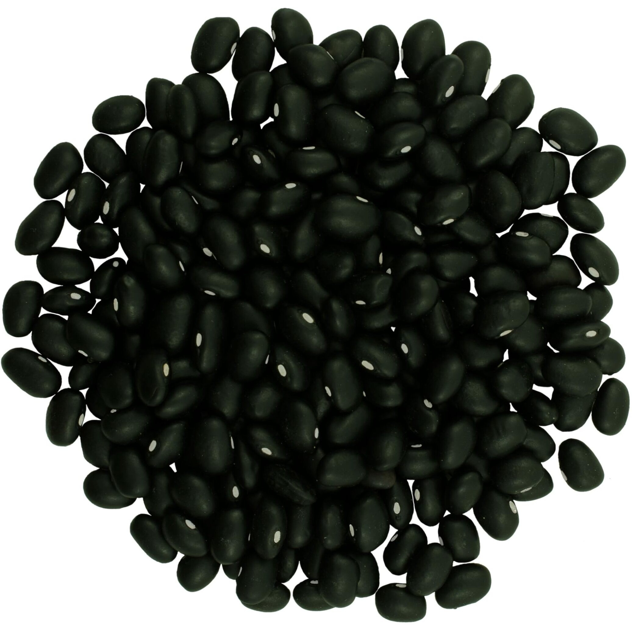 Grown In Washington Black Beans | 18 Lb | Non-Gmo | Kosher | Vegan | Non-Irradiated