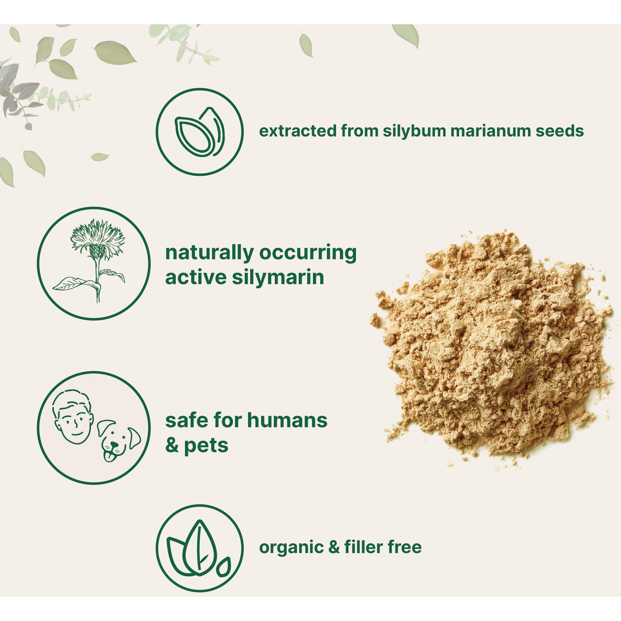 Organic Milk Thistle Tea Powder, 3.5 Ounces | 400 Servings | Premium Milk Thistle Liver Detox Supplement | Contains Active Silymarin | Non-Gmo, Vegan Friendly, Eco-Friendly Recyclable Bags