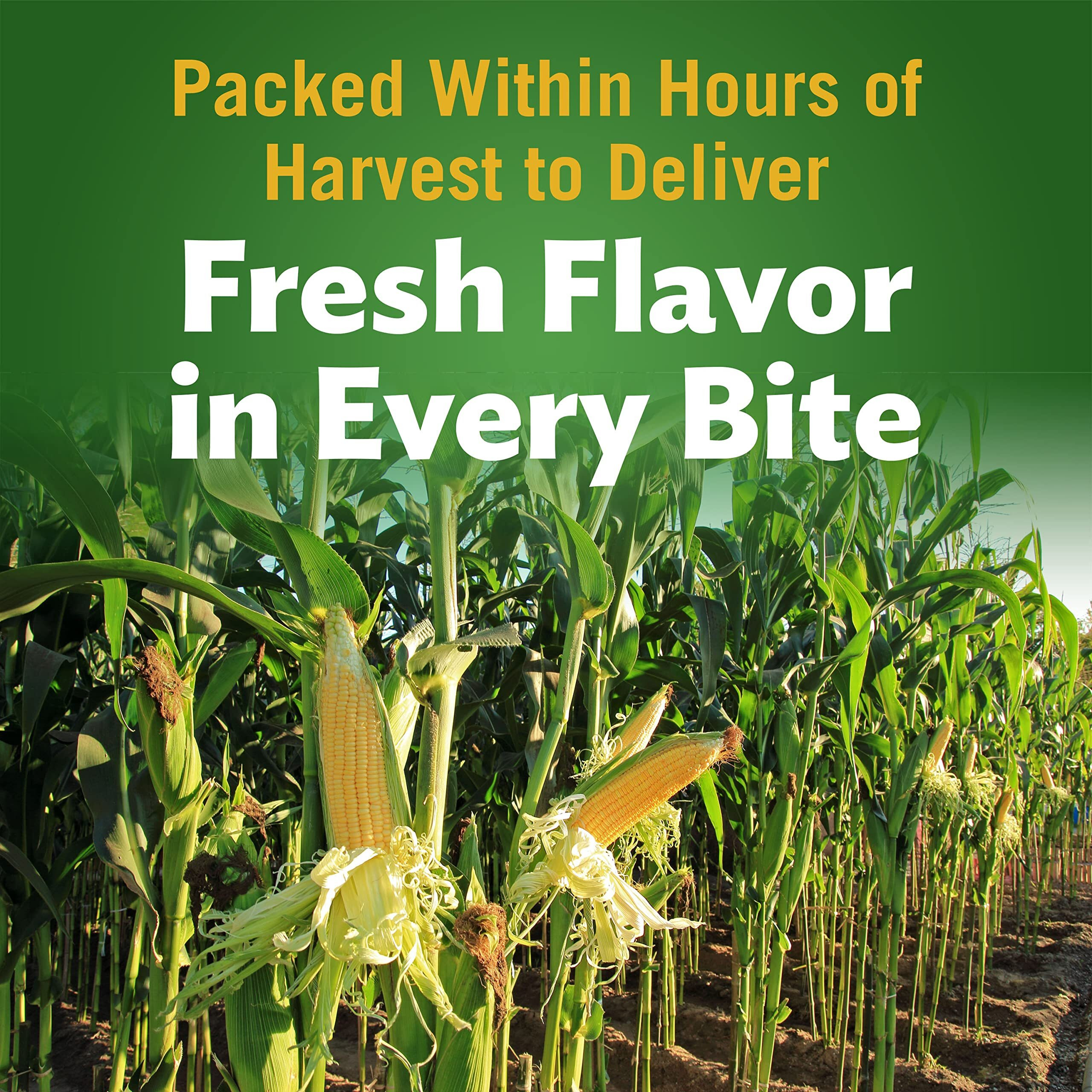 Del Monte Fresh Cut Golden Sweet Whole Kernel Corn Canned Vegetables, 15.25 Oz, Pack Of 4