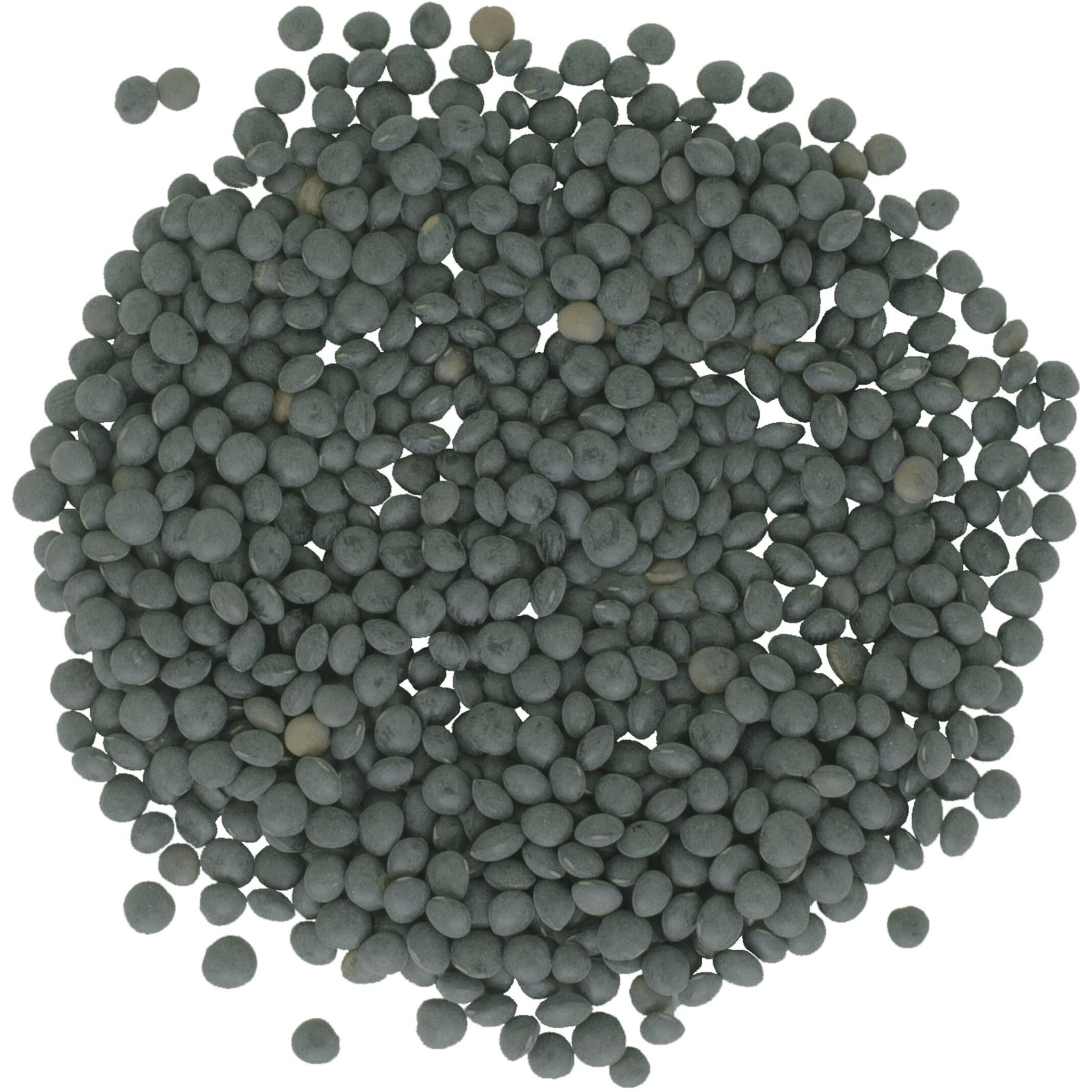 Black Beluga Lentils Bulk | 25 Lbs | Non-Gmo | Kosher | Vegan | Non-Irradiated