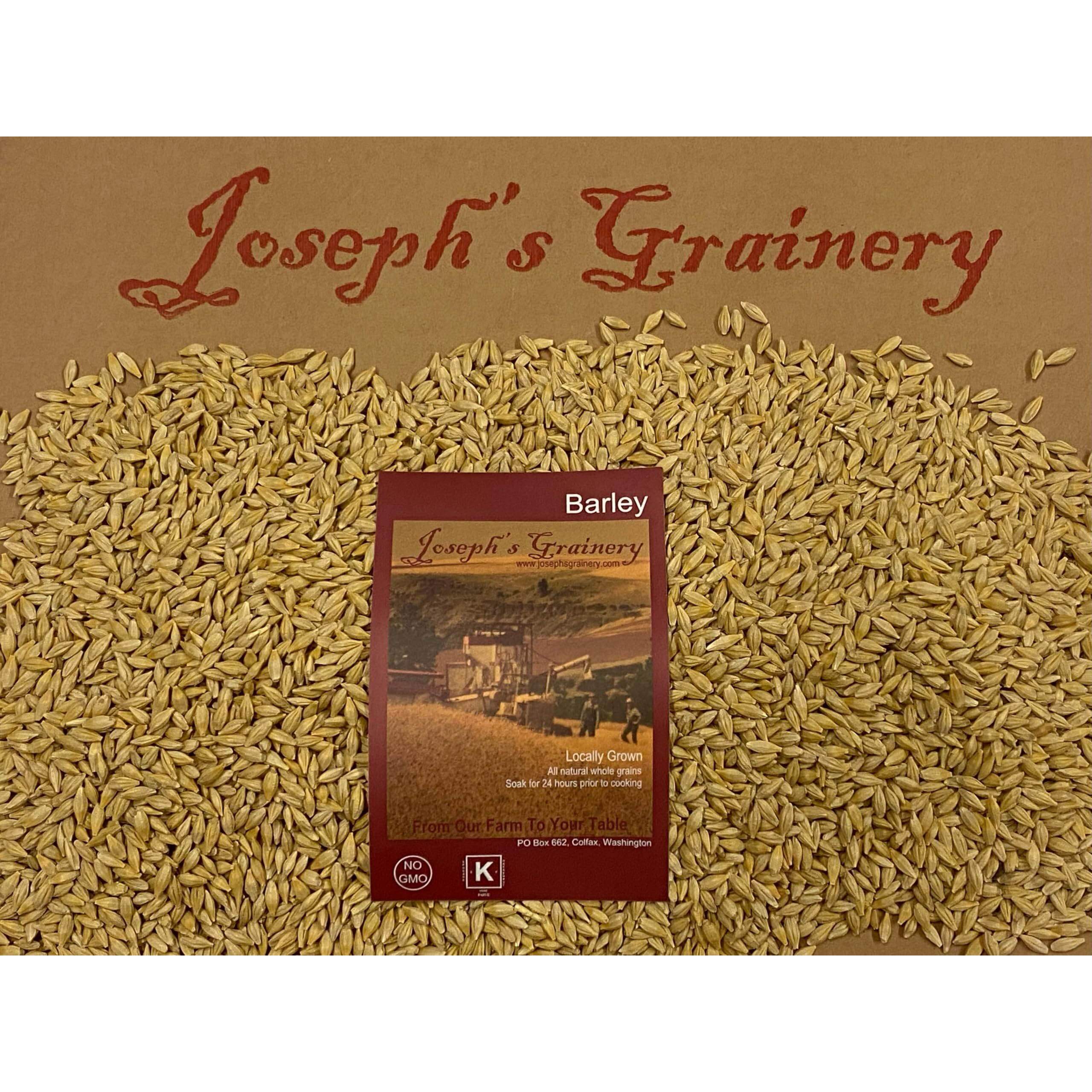 Barley 12 Lbs, Unhulled Barley (Hull Intact), Joseph's Grainery Whole Grain Barley, Non-Gmo, Kosher Certified
