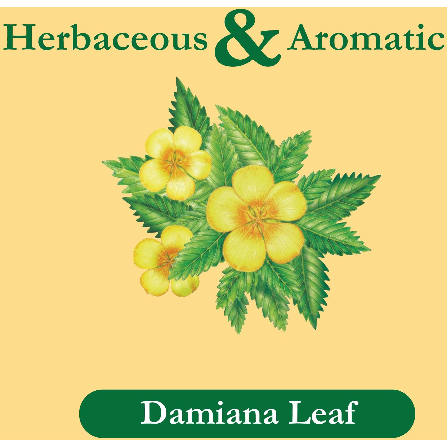 Tadin Damiana Tea, Herbal Tea, Caffeine Free Tea, Wellness Tea, Best As Hot Tea, Herbal Tea Bags, Decaffeinated Tea, 24 Tea Bags Per Box, Pack Of 6