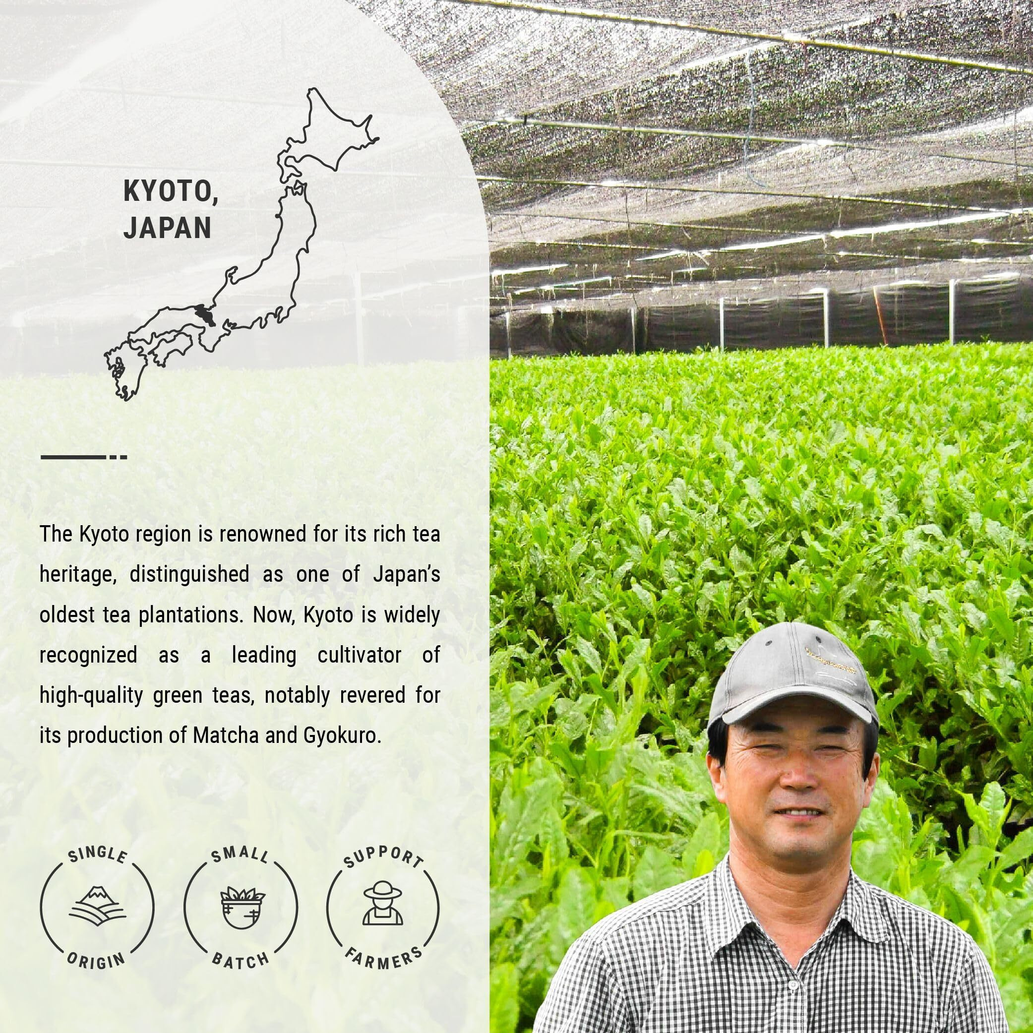 Senbird Organic Genmaicha With Matcha - Japanese Brown Rice Green Tea With Matcha - From Kyoto, Japan - Loose Leaf Tea In Airtight Tea Tin (3.5Oz/100G)