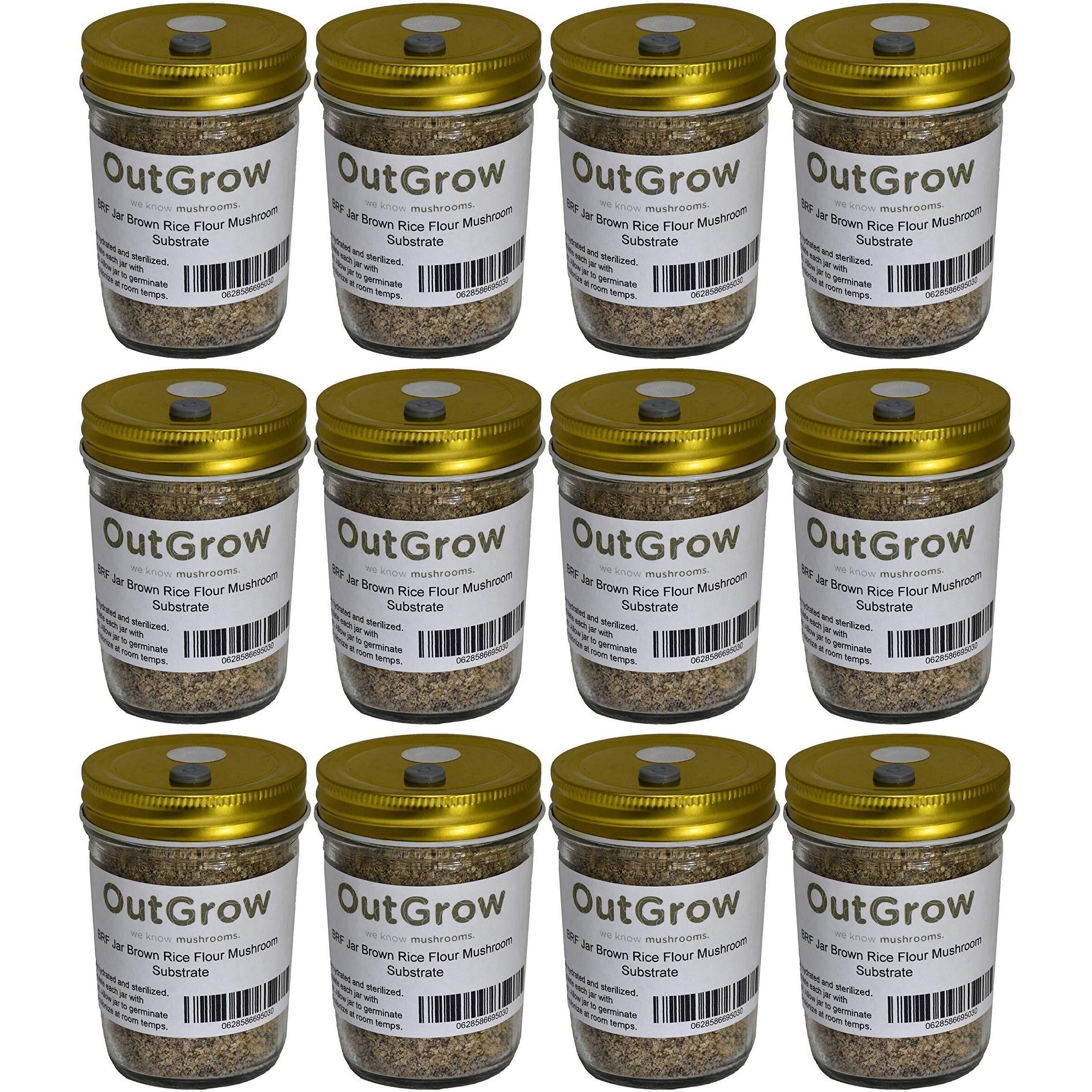 Brf Jars Mushroom Substrate (12 Pack)