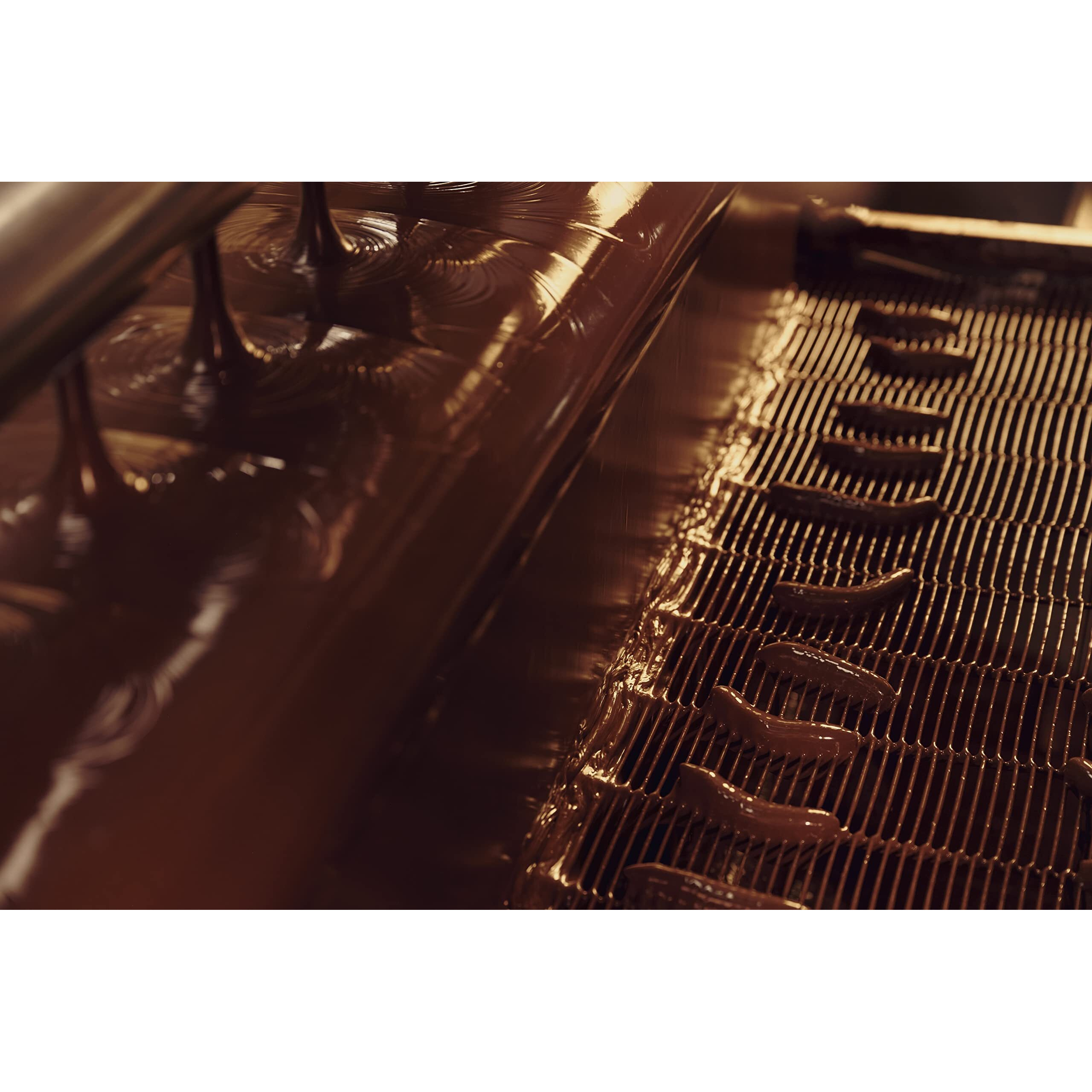 Dark Chocolate Covered Oranges, 1 Lb