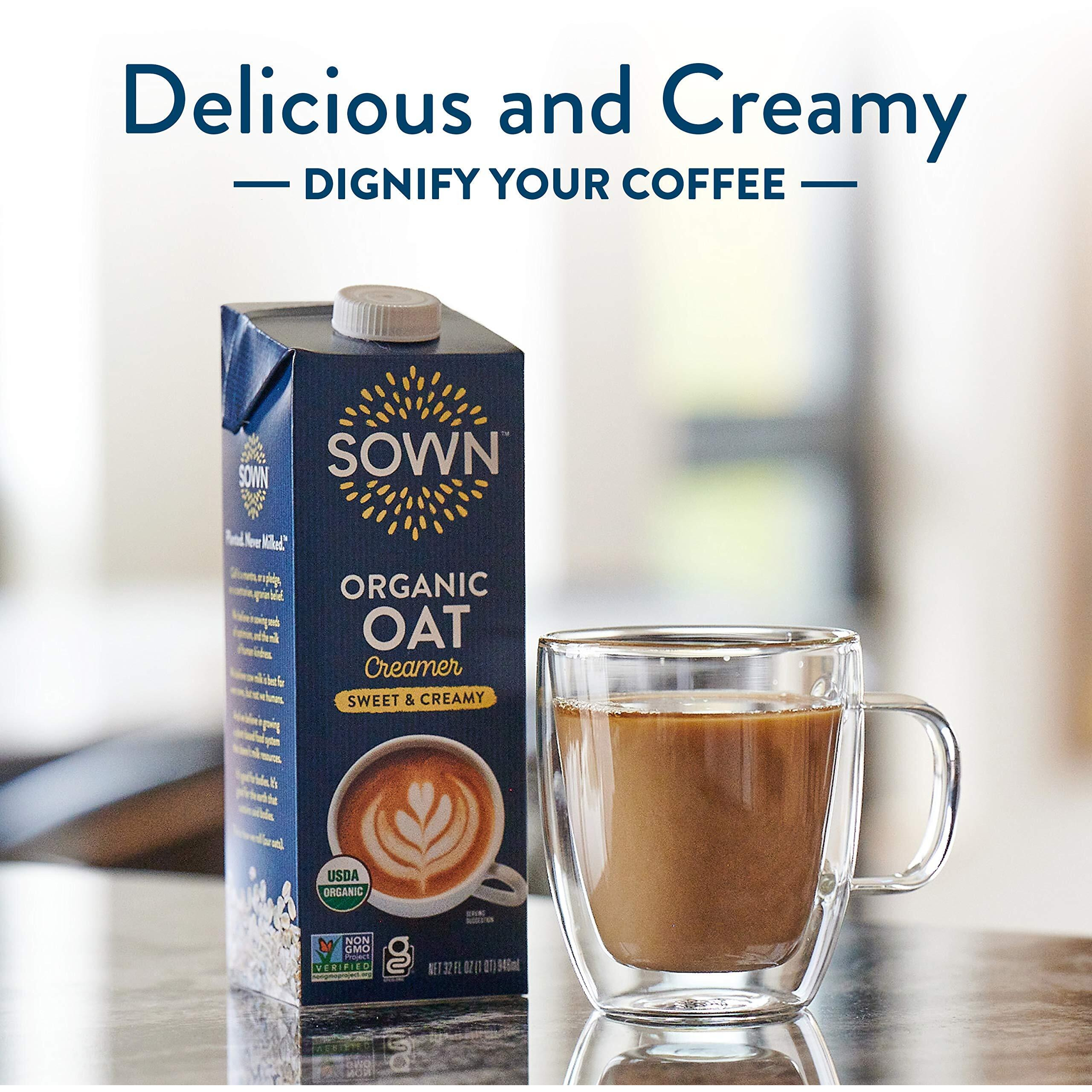 Sown Organic Oat Creamer Sweet & Creamy - Barista Oat Milk Non Dairy Coffee Creamer - Plant Based, Dairy-Free, Vegan, Gluten-Free, Non-Gmo, Shelf Stable - 32Oz (Pack Of 6)