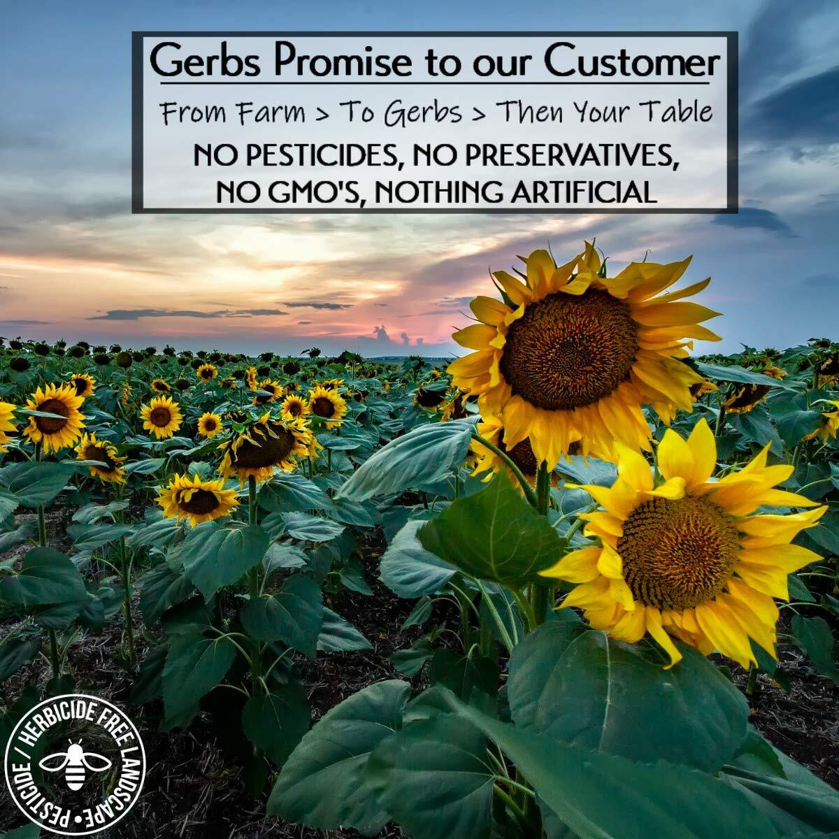 Gerbs Ground Sunflower Seed Meal, 2 Lbs - Top 14 Food Allergy Free & Non Gmo - Vegan & Keto Safe - Cold Milled Full Oil Seed Protein Powder