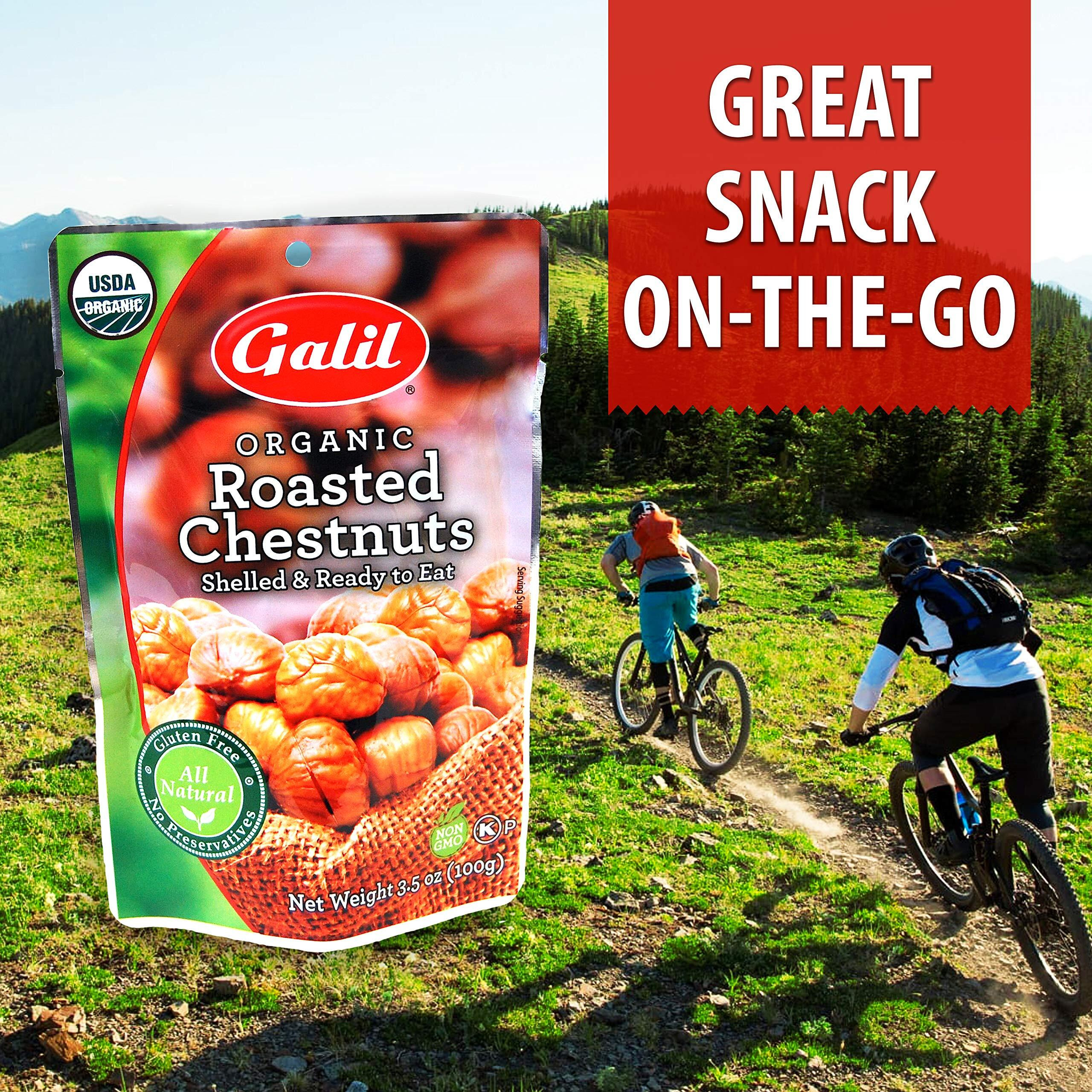 Galil Organic Roasted Chestnuts - 3.5 Oz Bags (Pack Of 6) - Shelled - Ready To Eat Snack, Gluten Free, All Natural, No Preservatives - Great For Snacking, Baking & Cooking - 100% Vegan